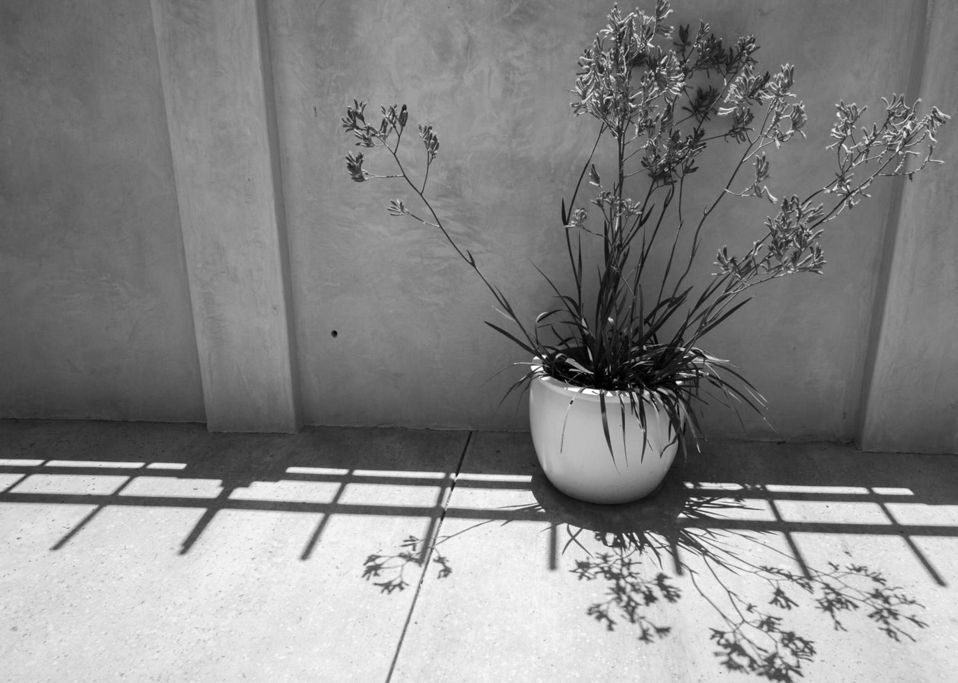 Casa Ojai Inn photo 59