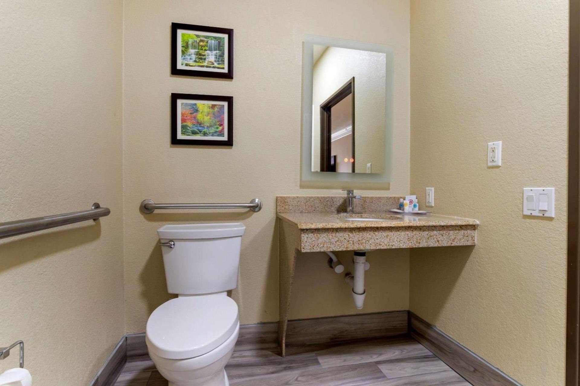 Comfort Suites Kingwood, Humble, New Caney, Houston IAH Airport photo 12