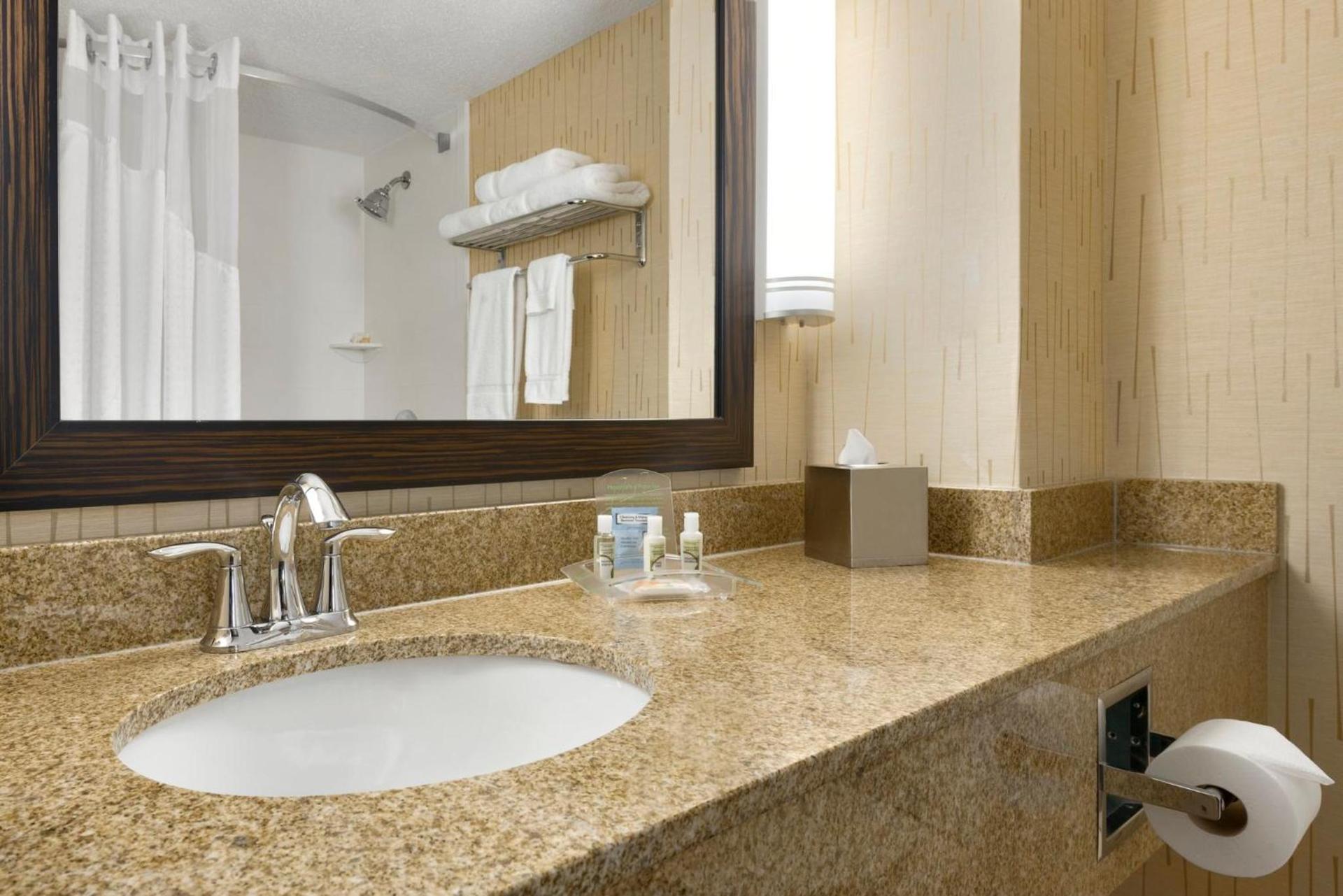 Holiday Inn & Suites Duluth-Downtown by IHG photo 55