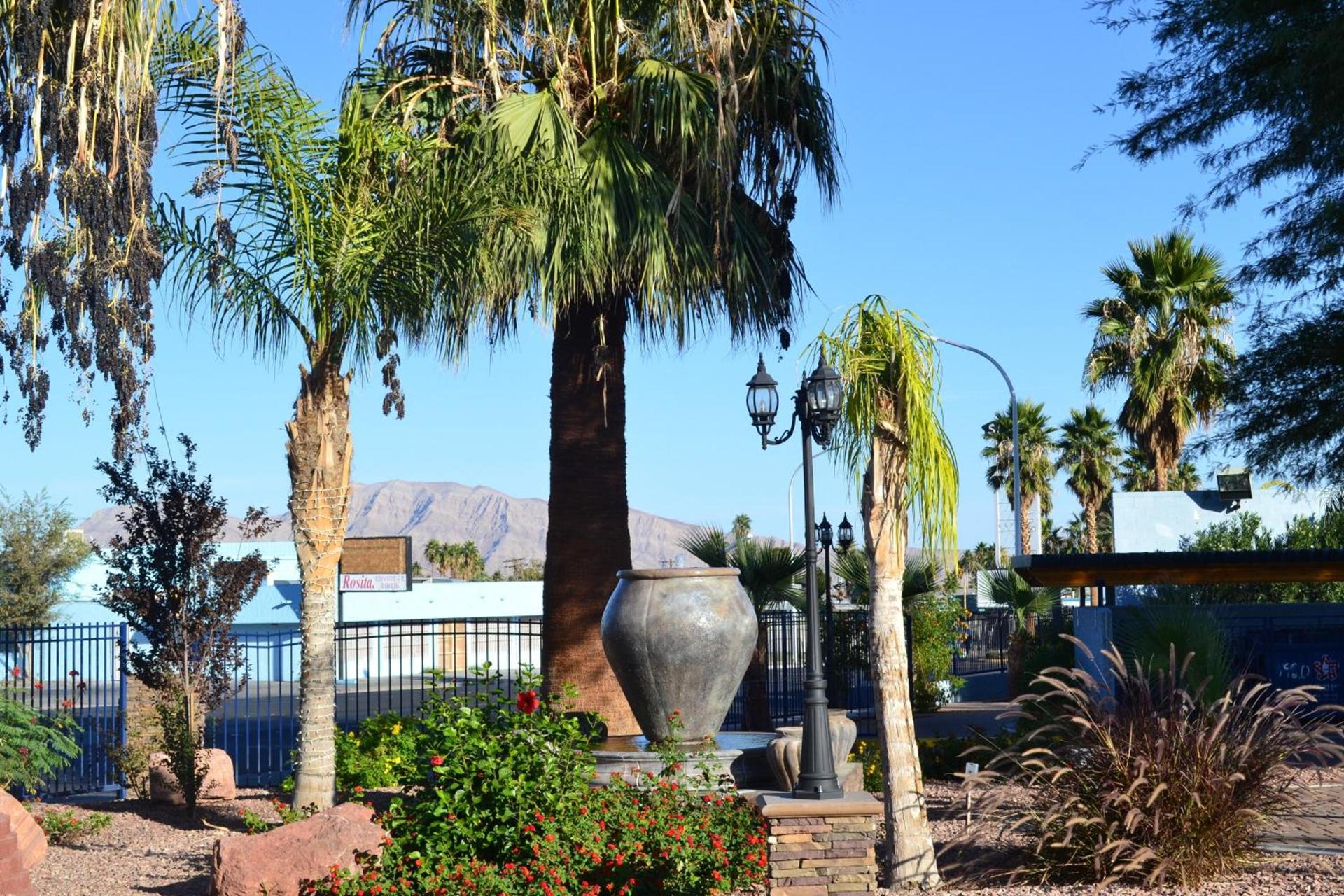 Sterling Gardens photo 7