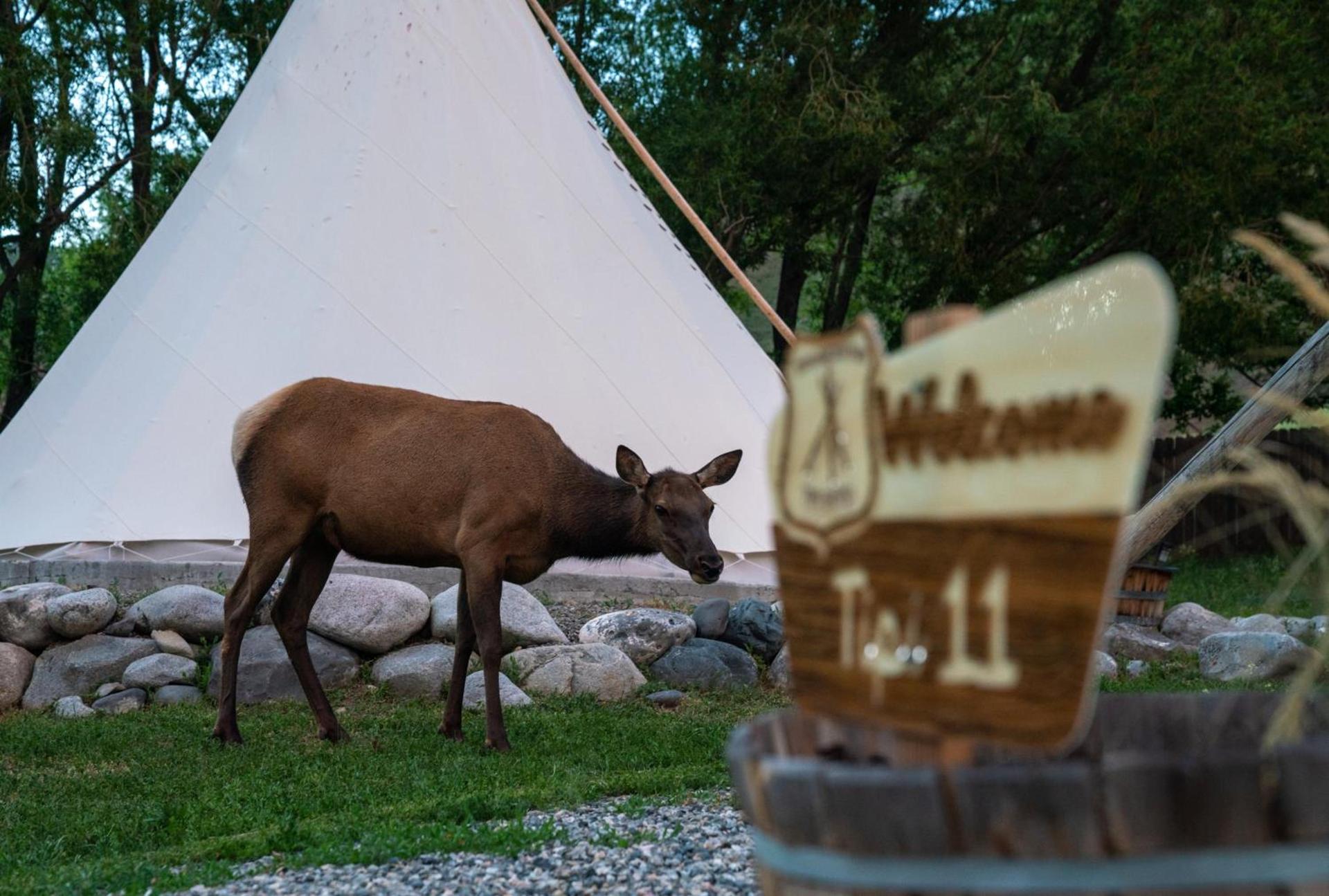 Dreamcatcher Tipi Hotel photo 31