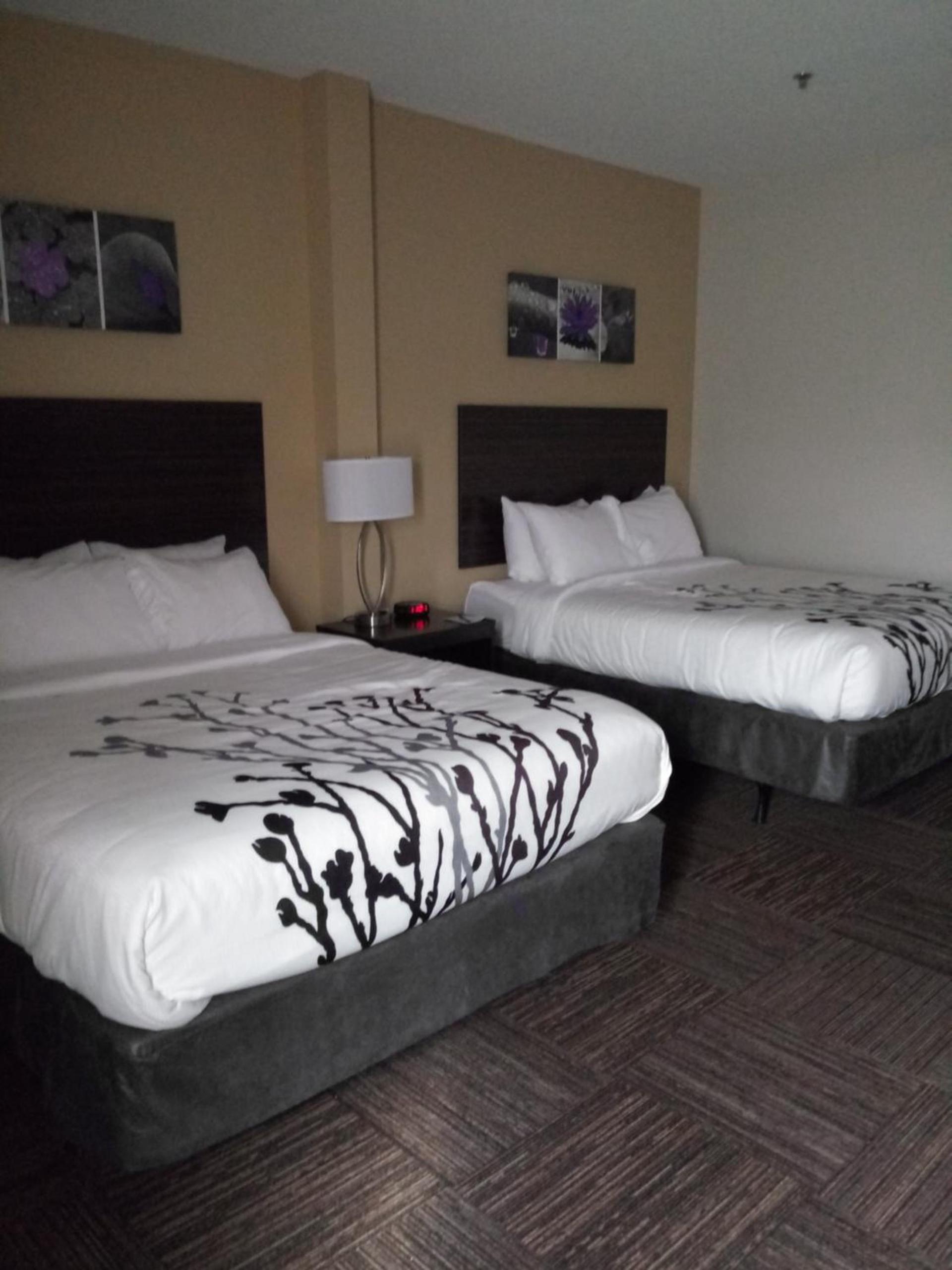 Sleep Inn & Suites Wisconsin Rapids photo 21
