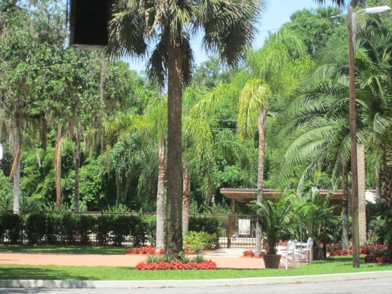 Tropical Marina & Resort on Lake Beresford photo 14