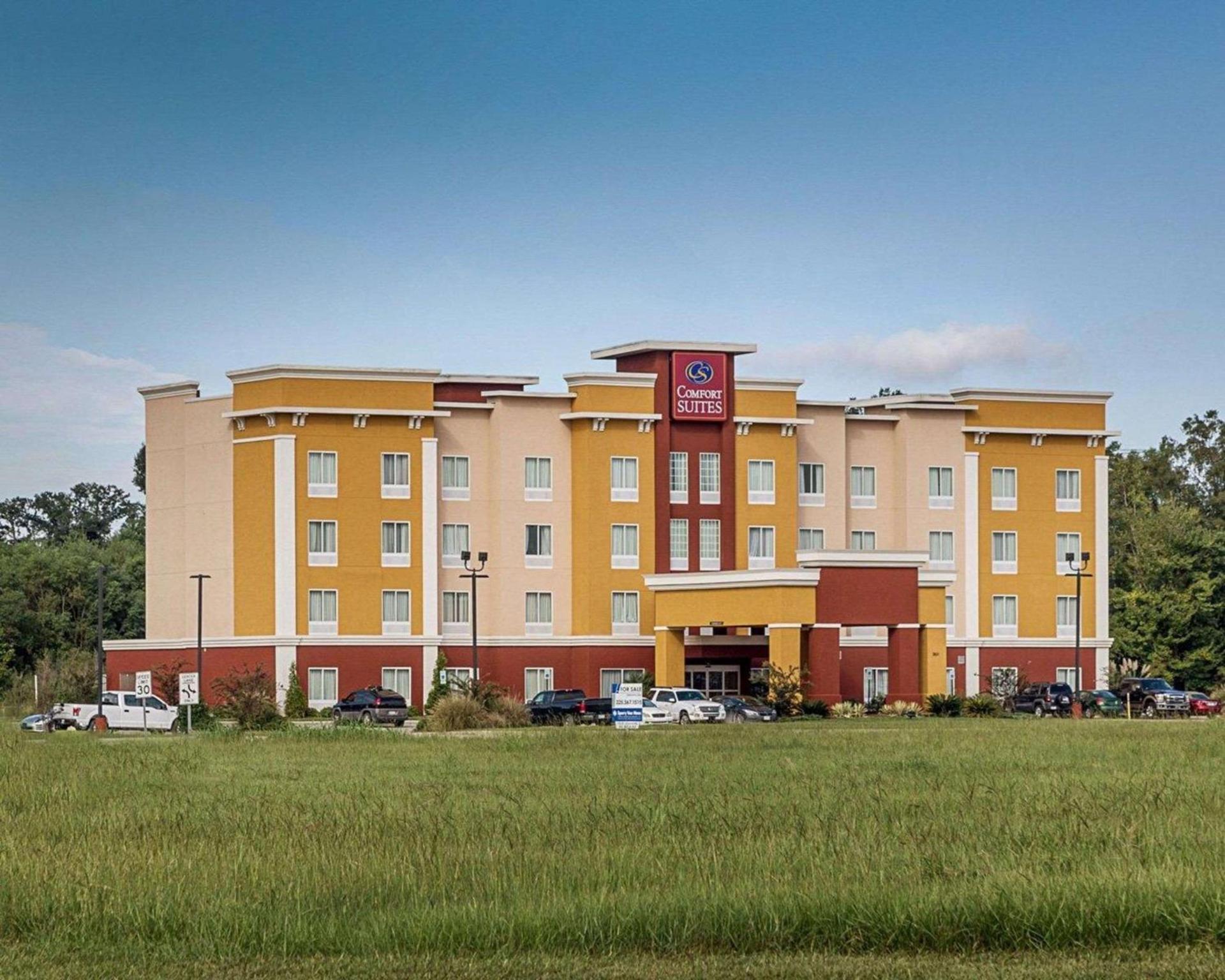 Comfort Suites near Tanger Outlet Mall — hotel in Gonzales