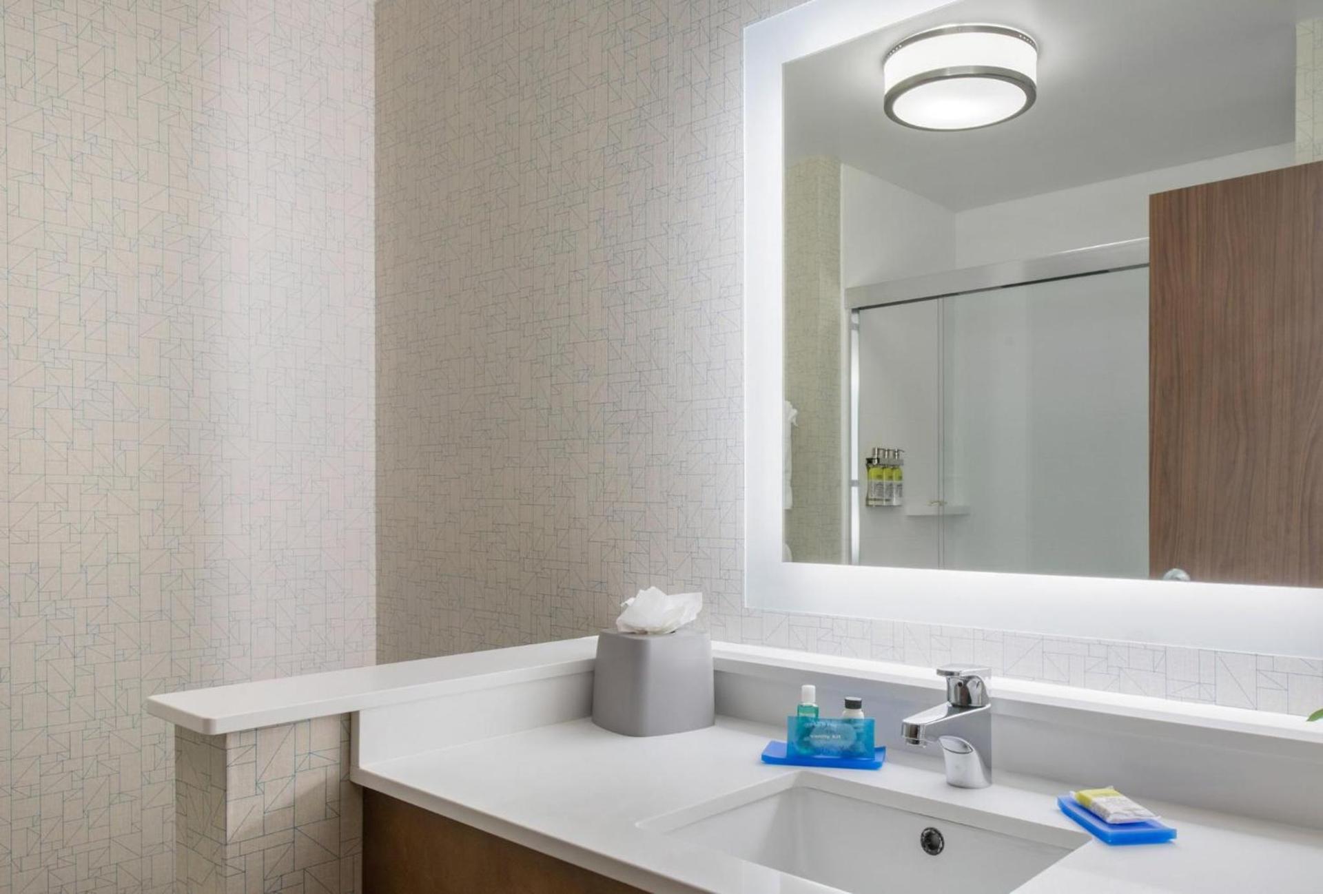 Holiday Inn Express & Suites - Ruskin by IHG photo 8