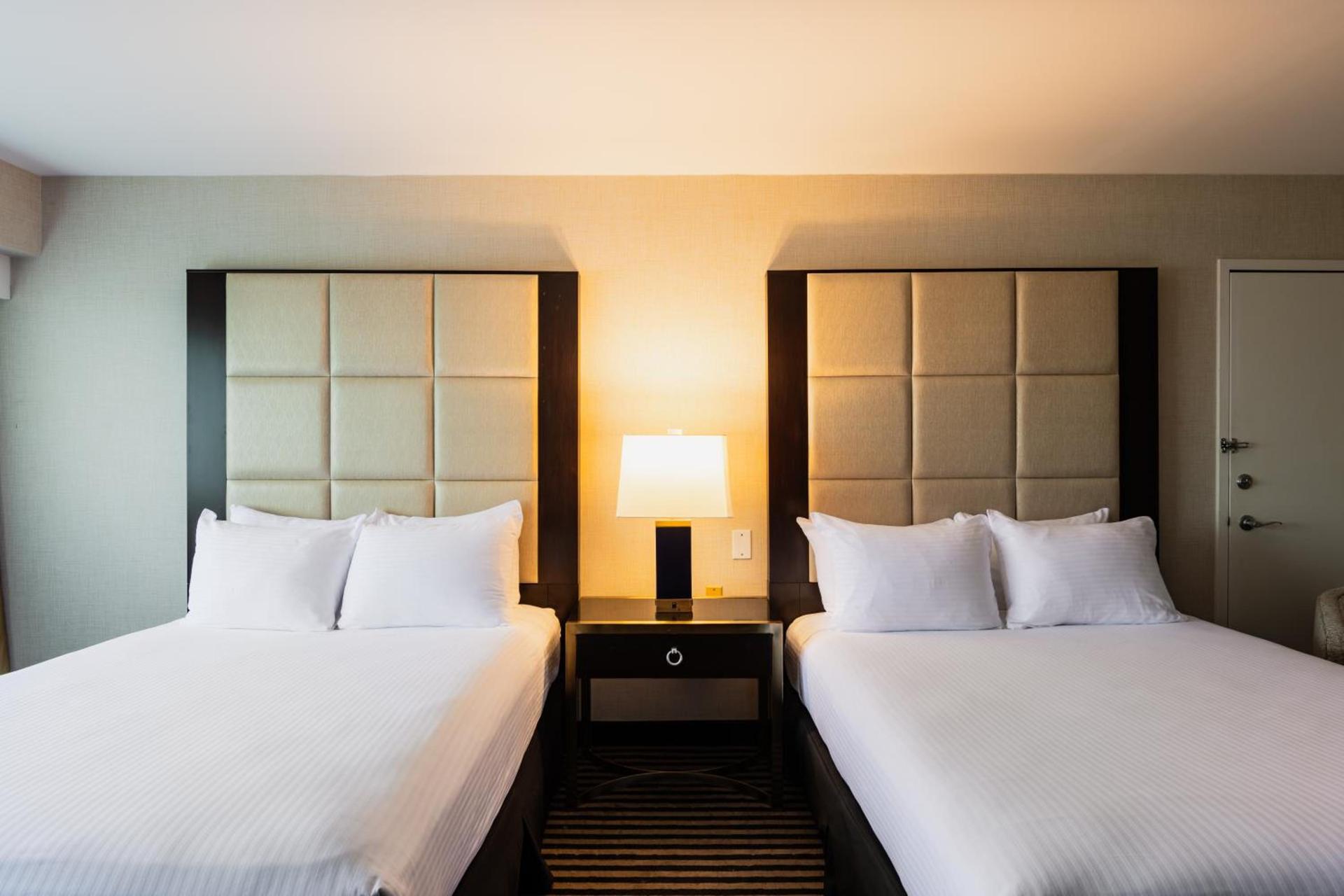 APA Hotel Woodbridge photo 19