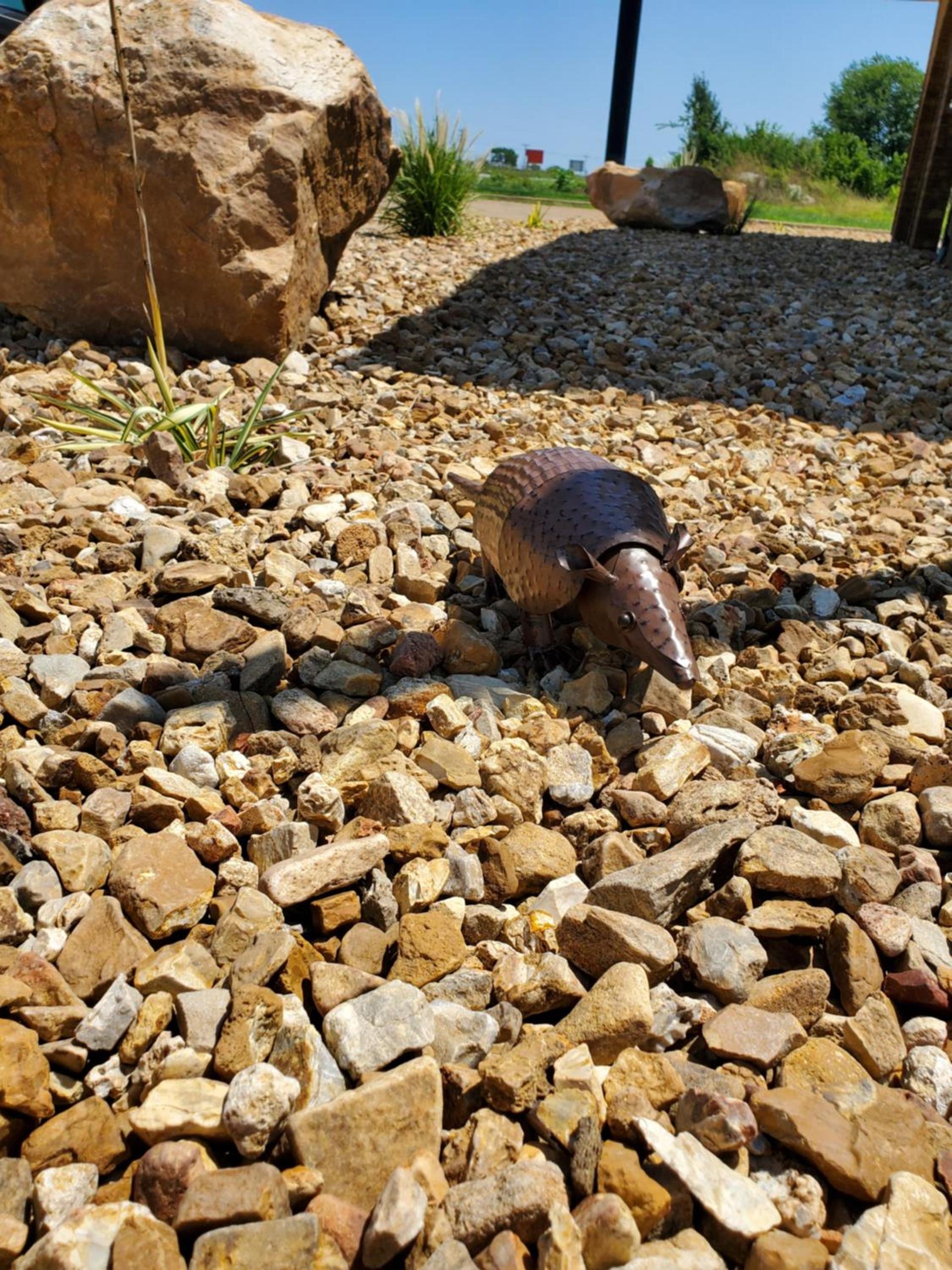 Cactus Inn and Suites photo 4