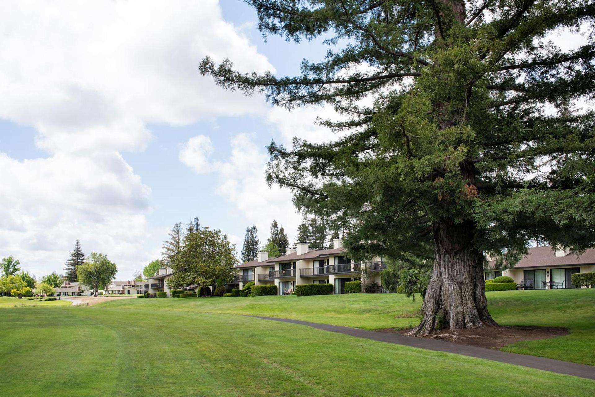 Silverado Resort photo 63