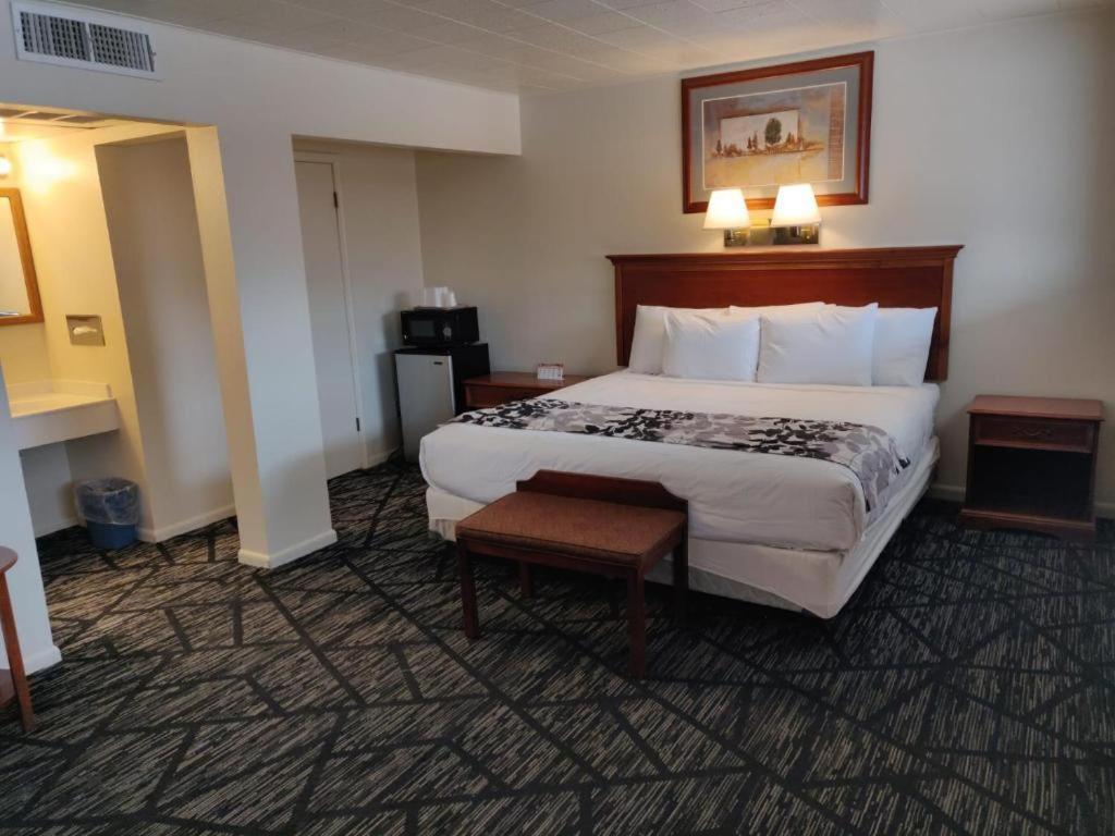 Skyline Motor Inn photo 2