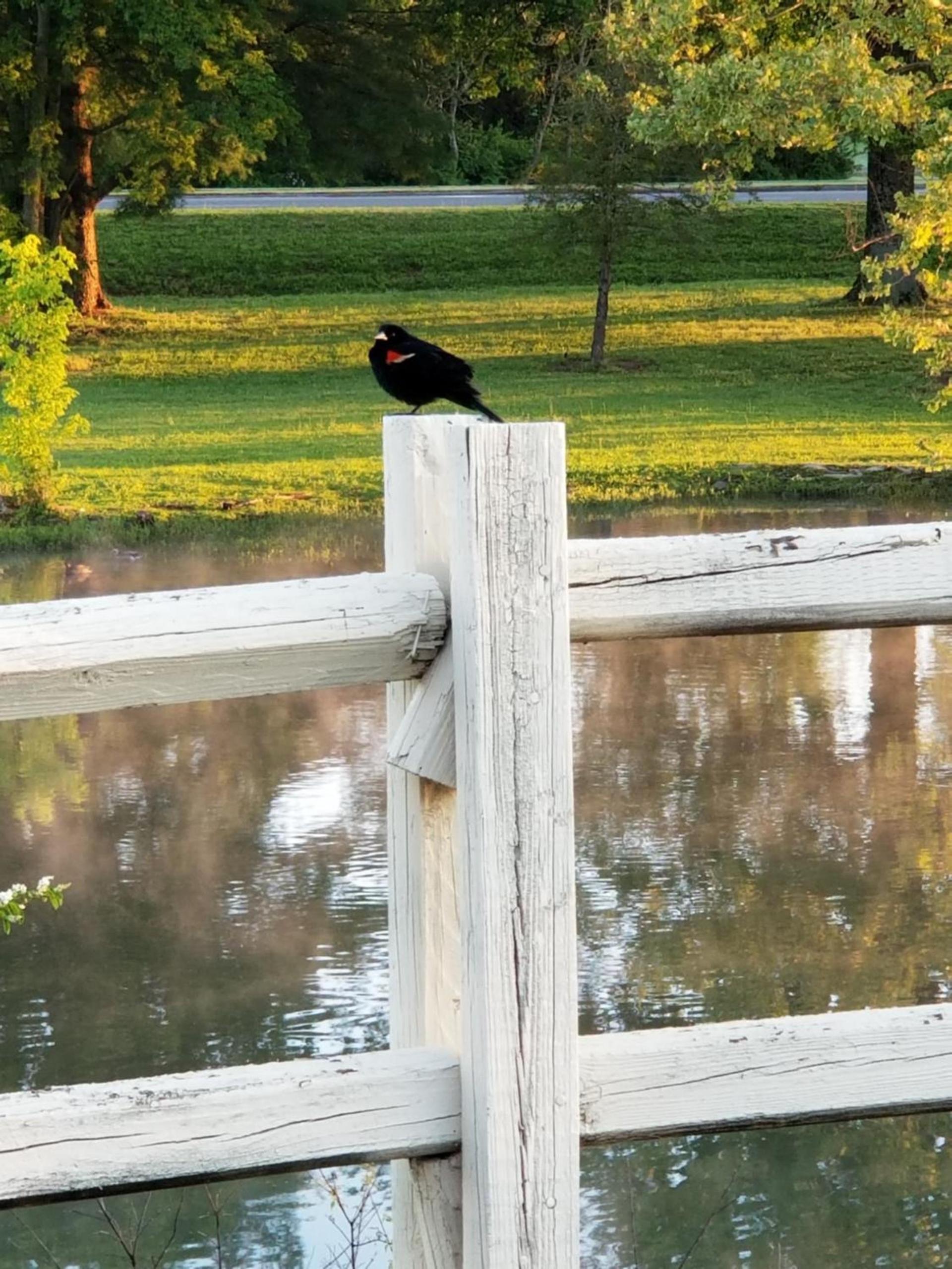 Drakes Creek Inn photo 27