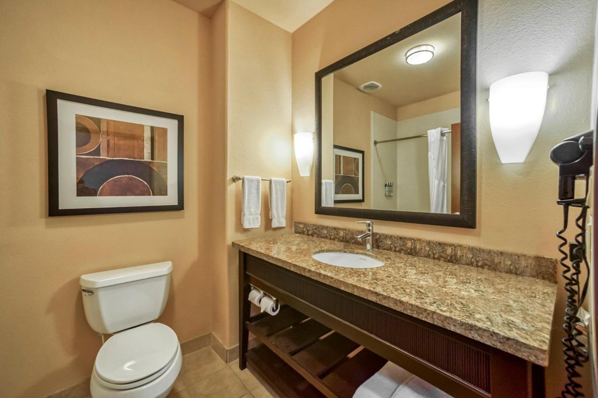 Holiday Inn Express and Suites Beeville by IHG photo 43