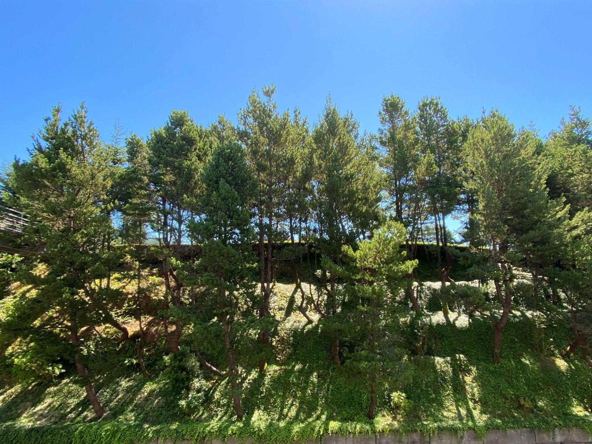 Best Western Plus Agate Beach Inn photo 16