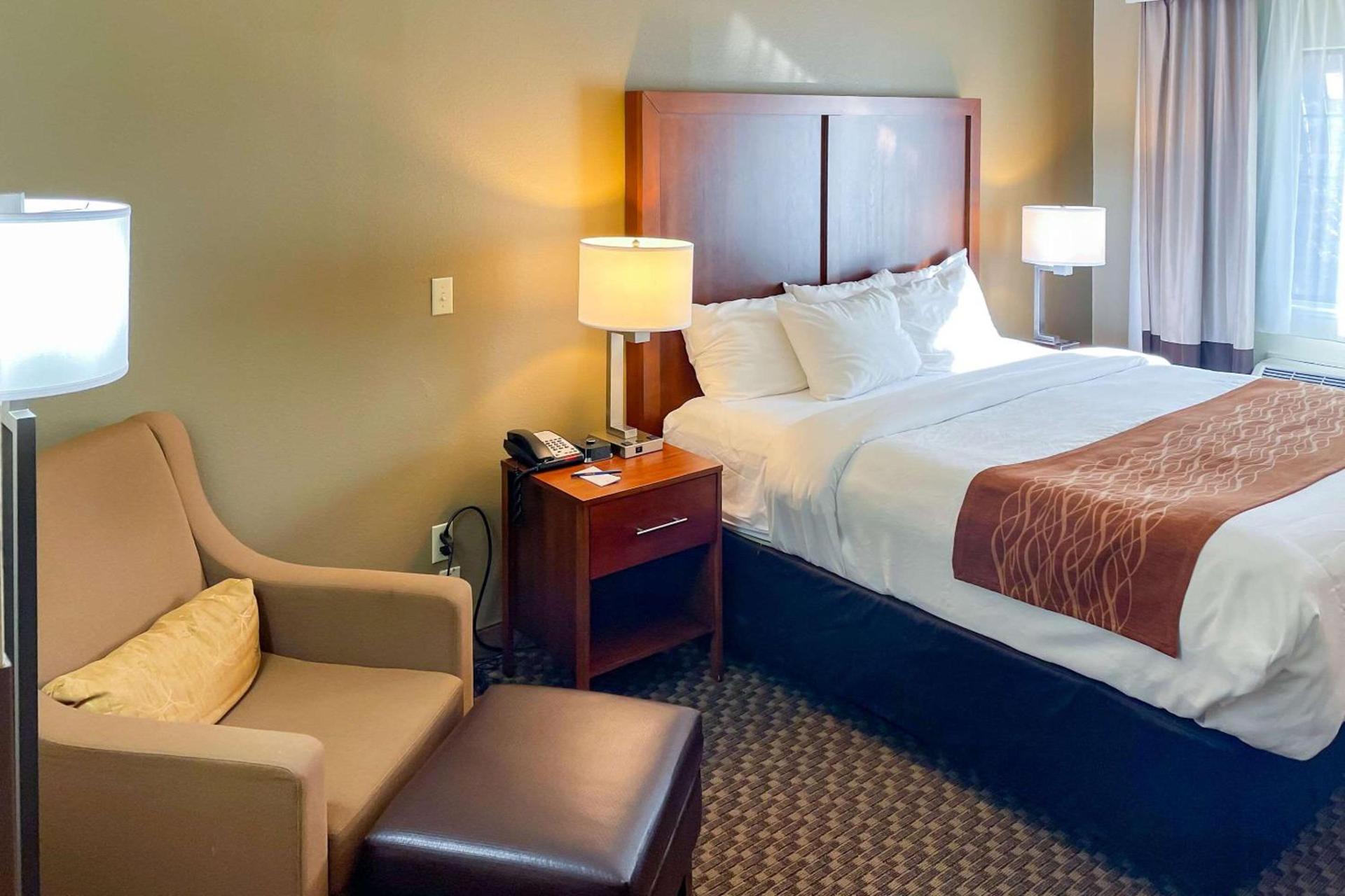 Comfort Inn & Suites Midtown photo 13