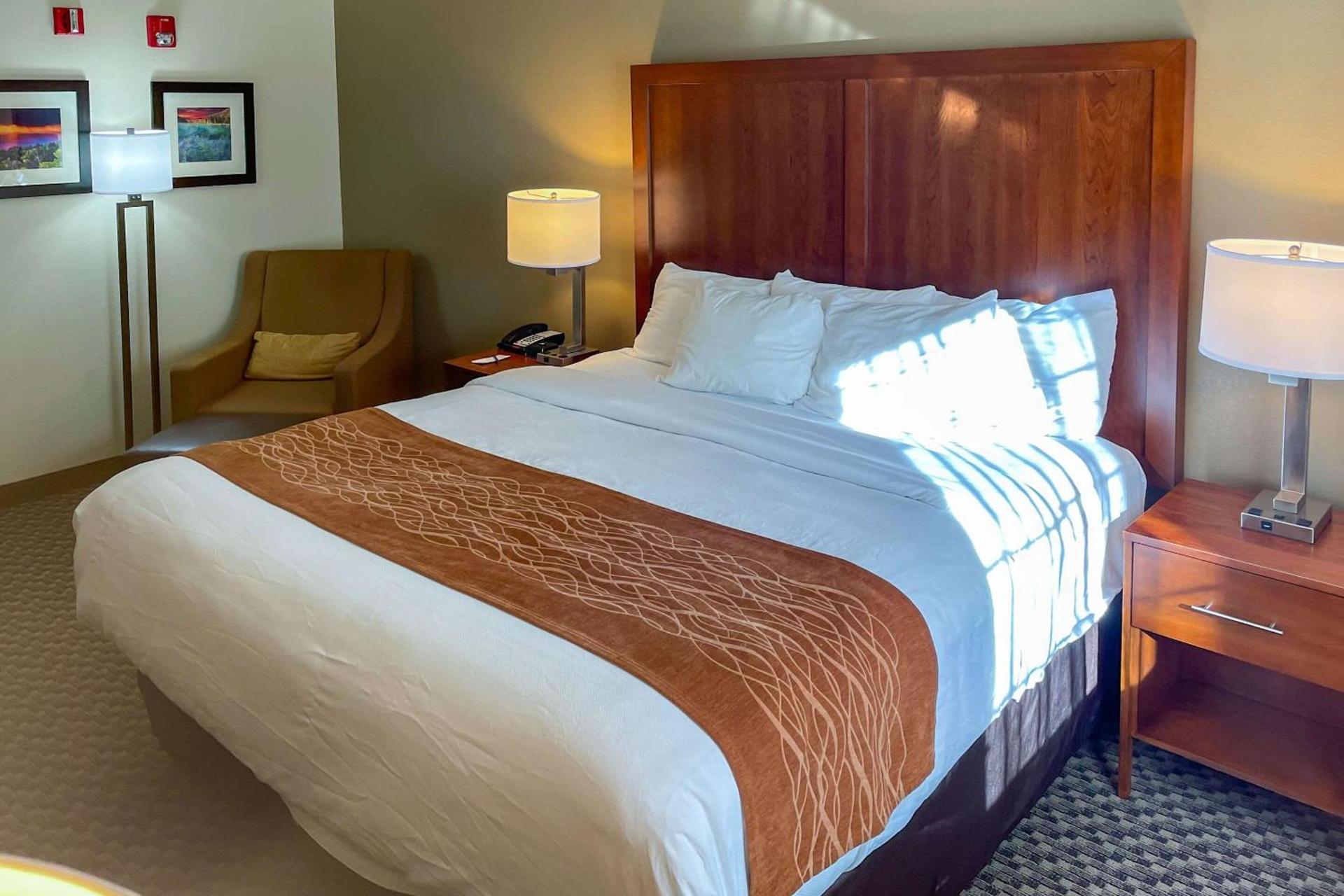 Comfort Inn & Suites Midtown photo 14