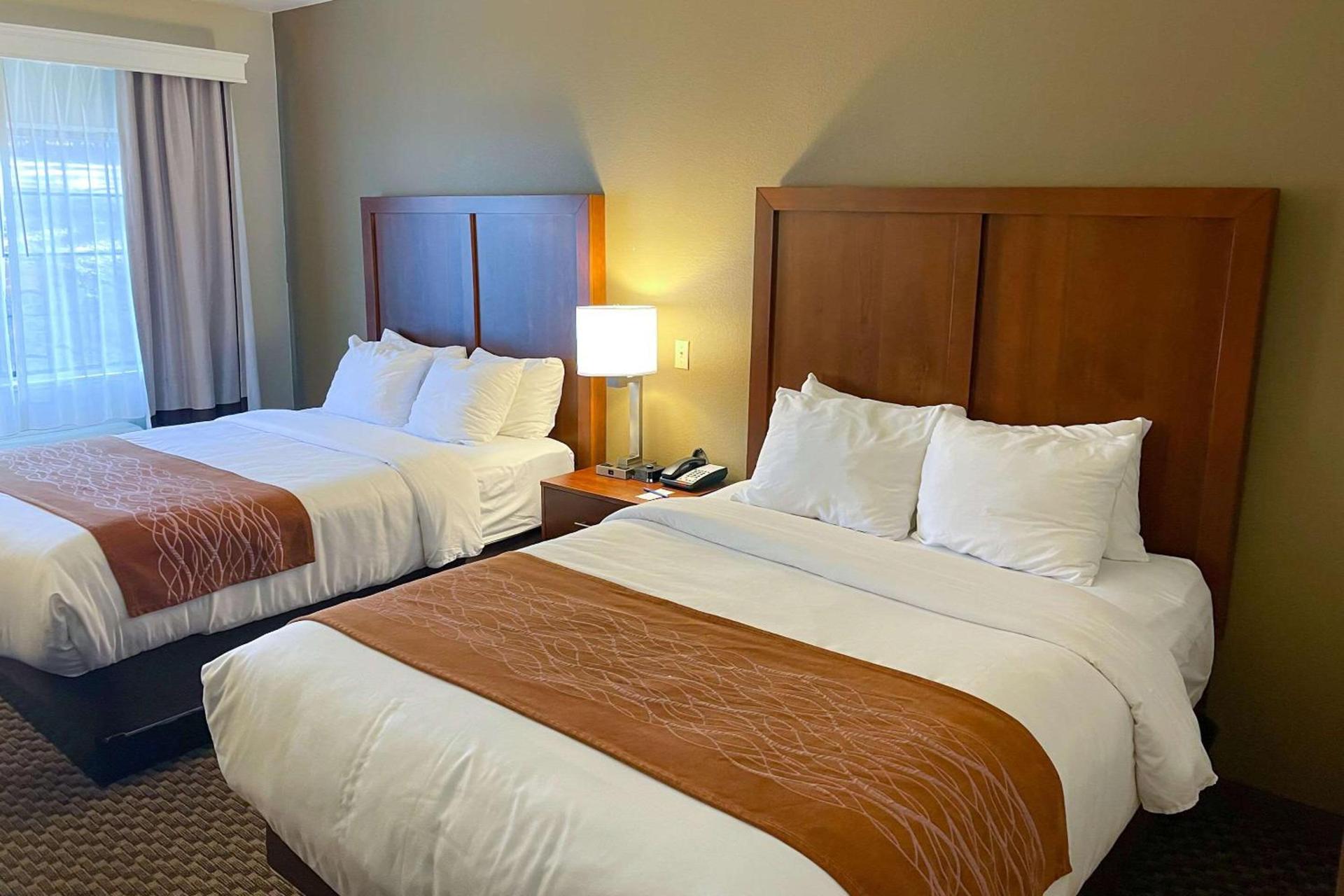 Comfort Inn & Suites Midtown photo 16