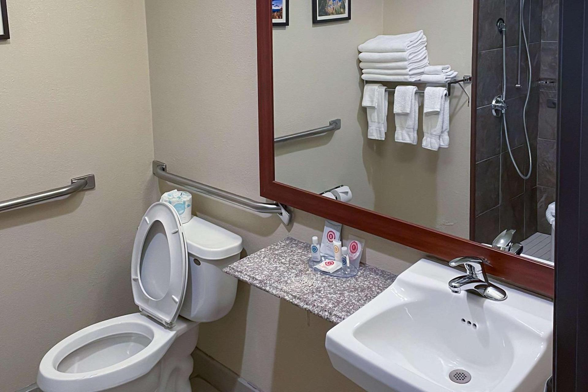 Comfort Inn & Suites Midtown photo 27