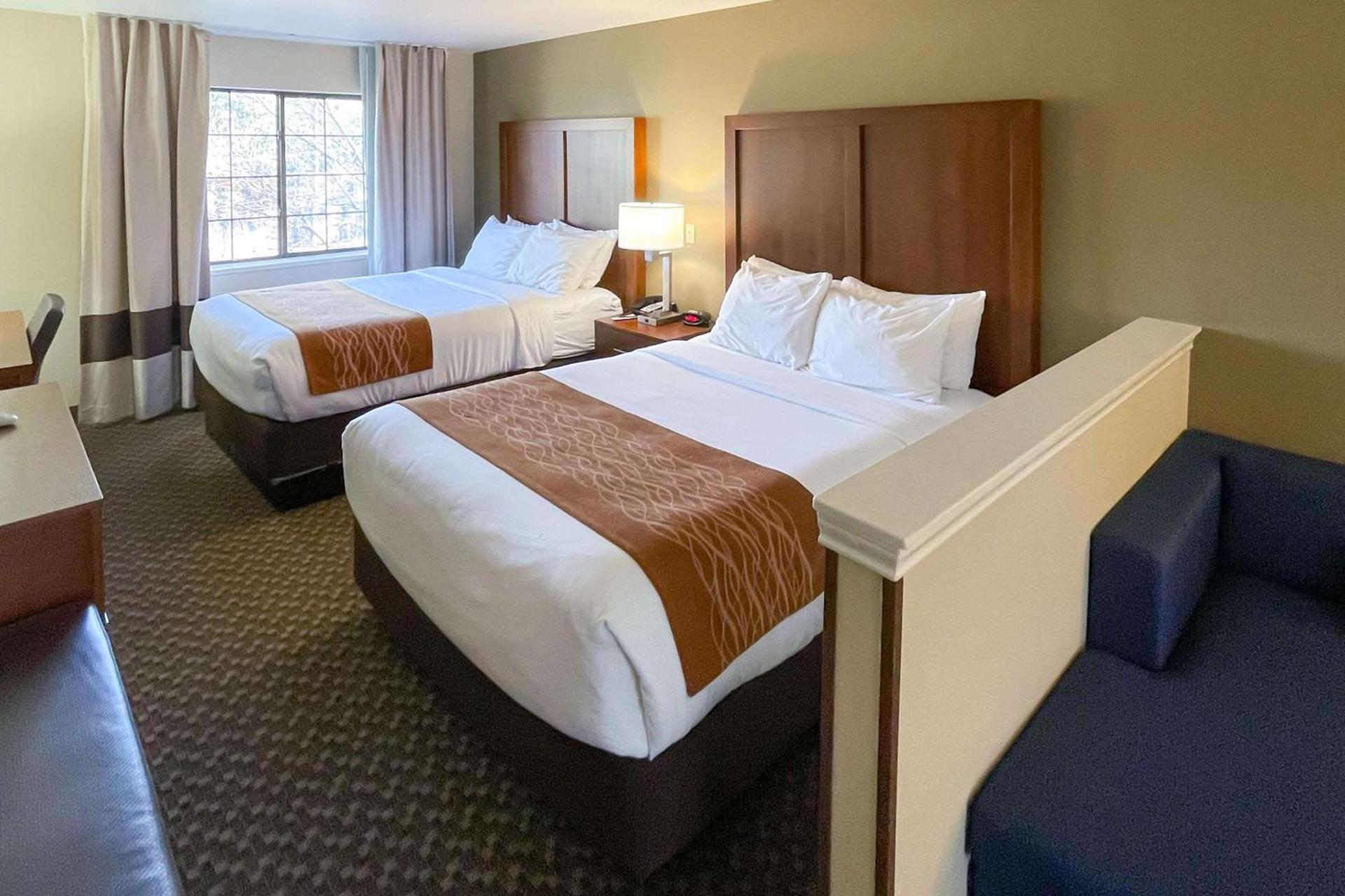 Comfort Inn & Suites Midtown photo 29