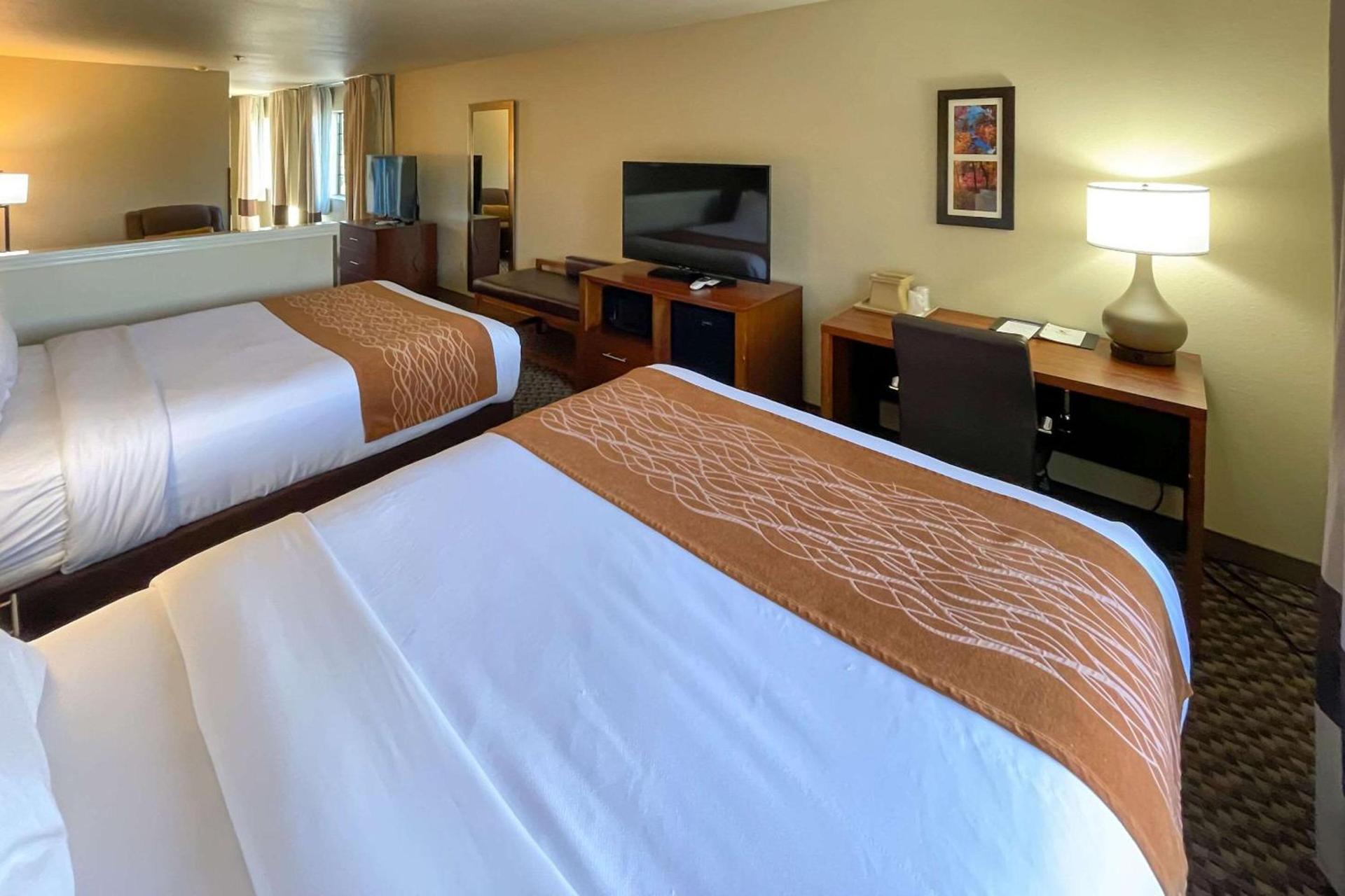 Comfort Inn & Suites Midtown photo 32