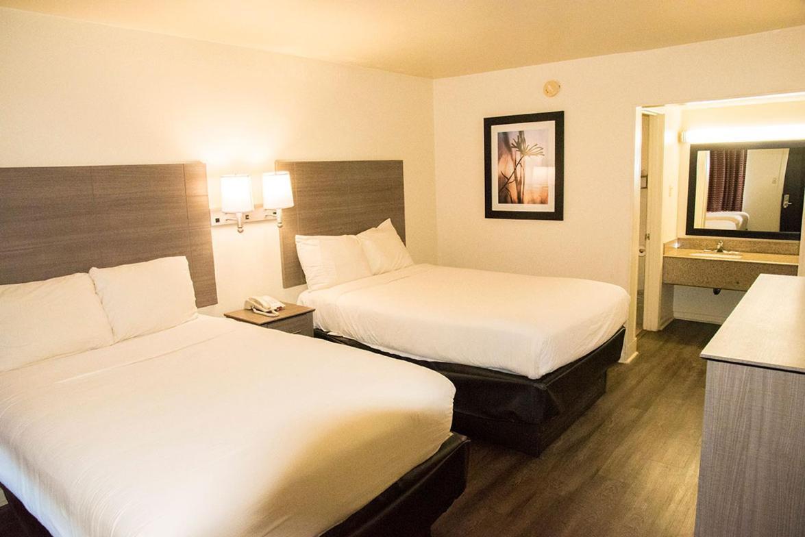 Exacta Inn photo 3