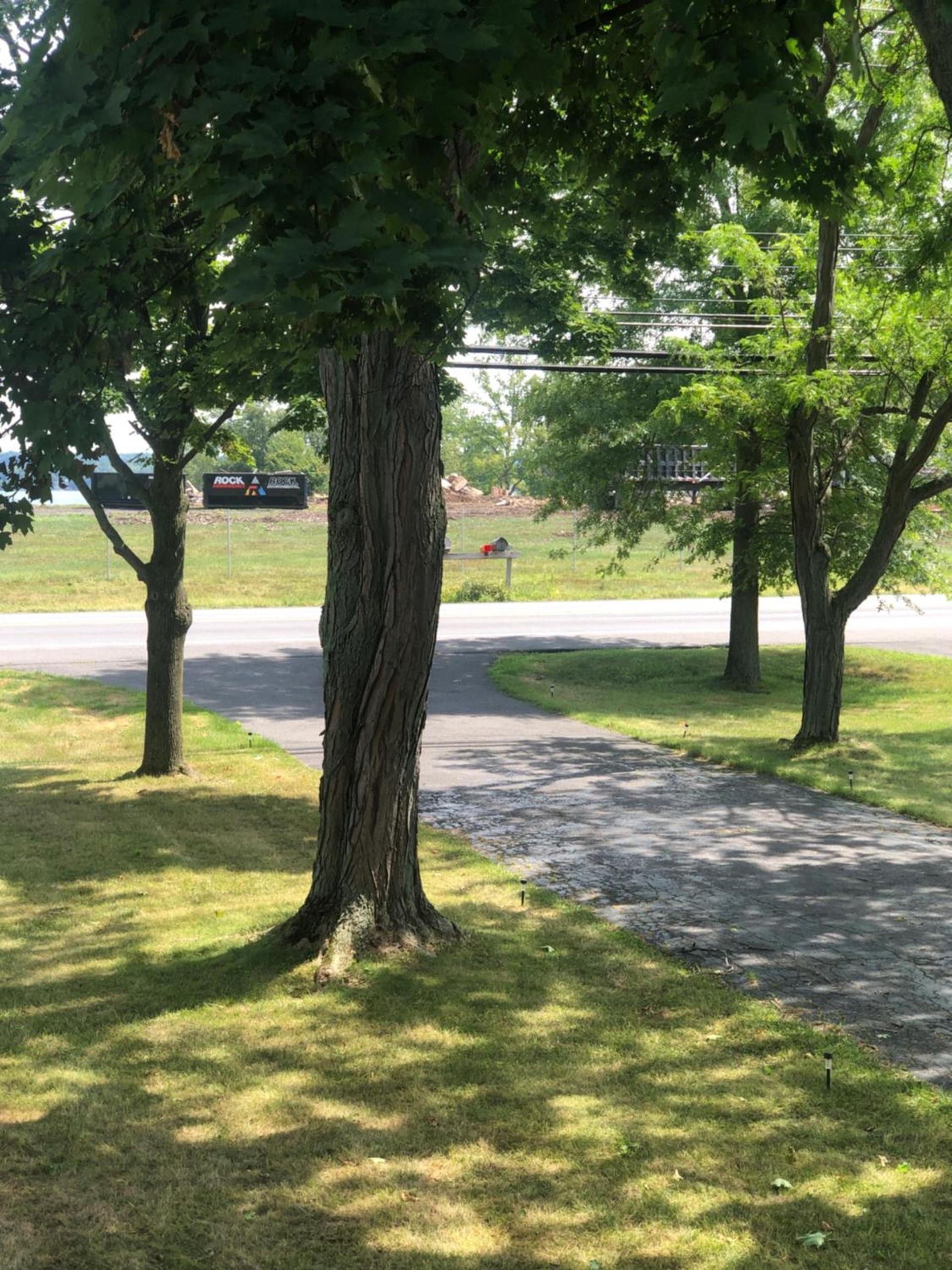 The Fallen Tree Inn photo 23