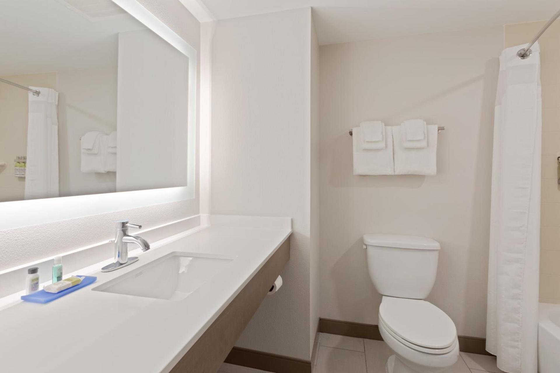 Holiday Inn Express Hotel & Suites Largo-Clearwater by IHG photo 28