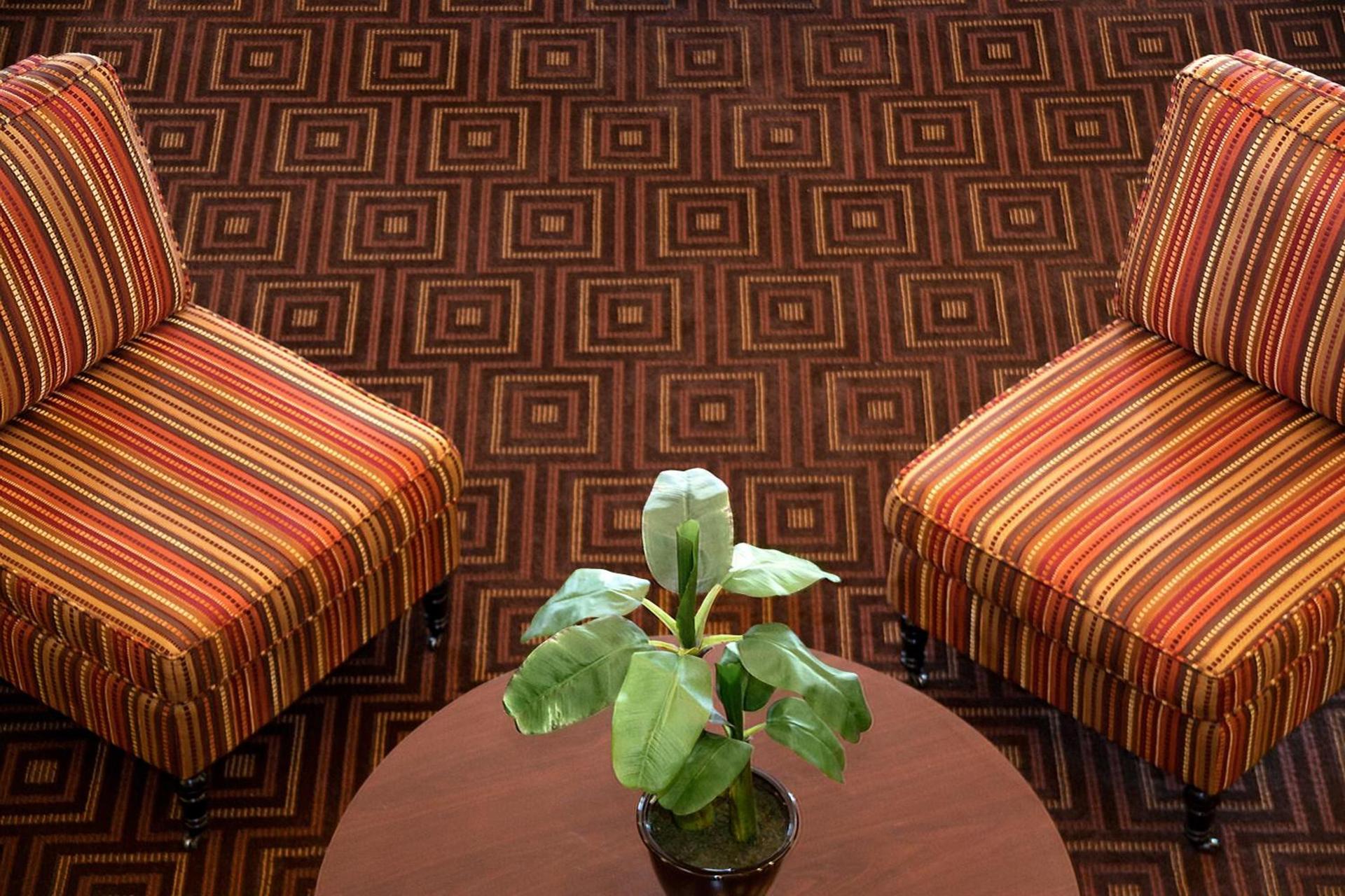 Super 8 by Wyndham Fairview Heights-St. Louis photo 13