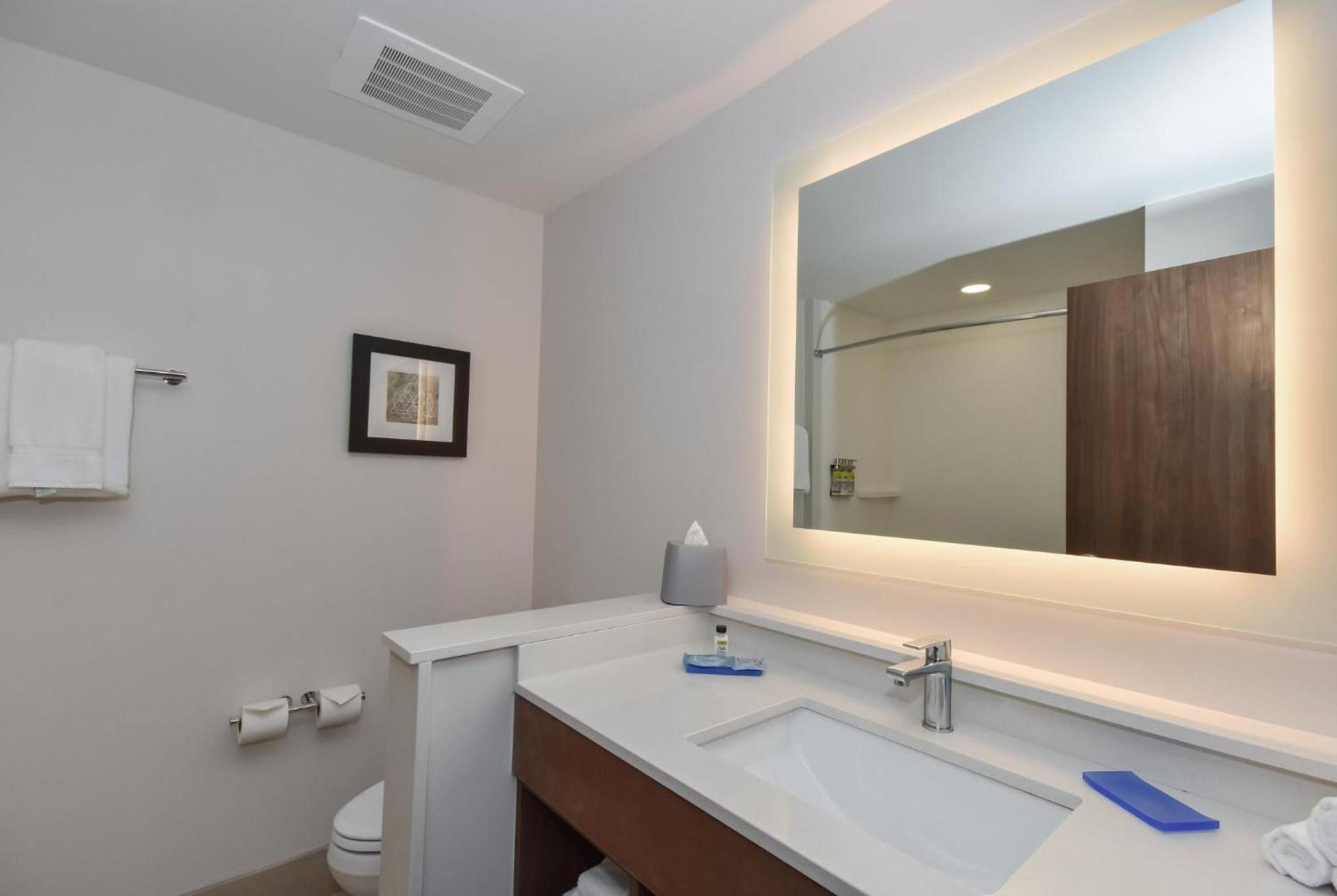 Holiday Inn Express & Suites Charlotte - Ballantyne by IHG photo 24