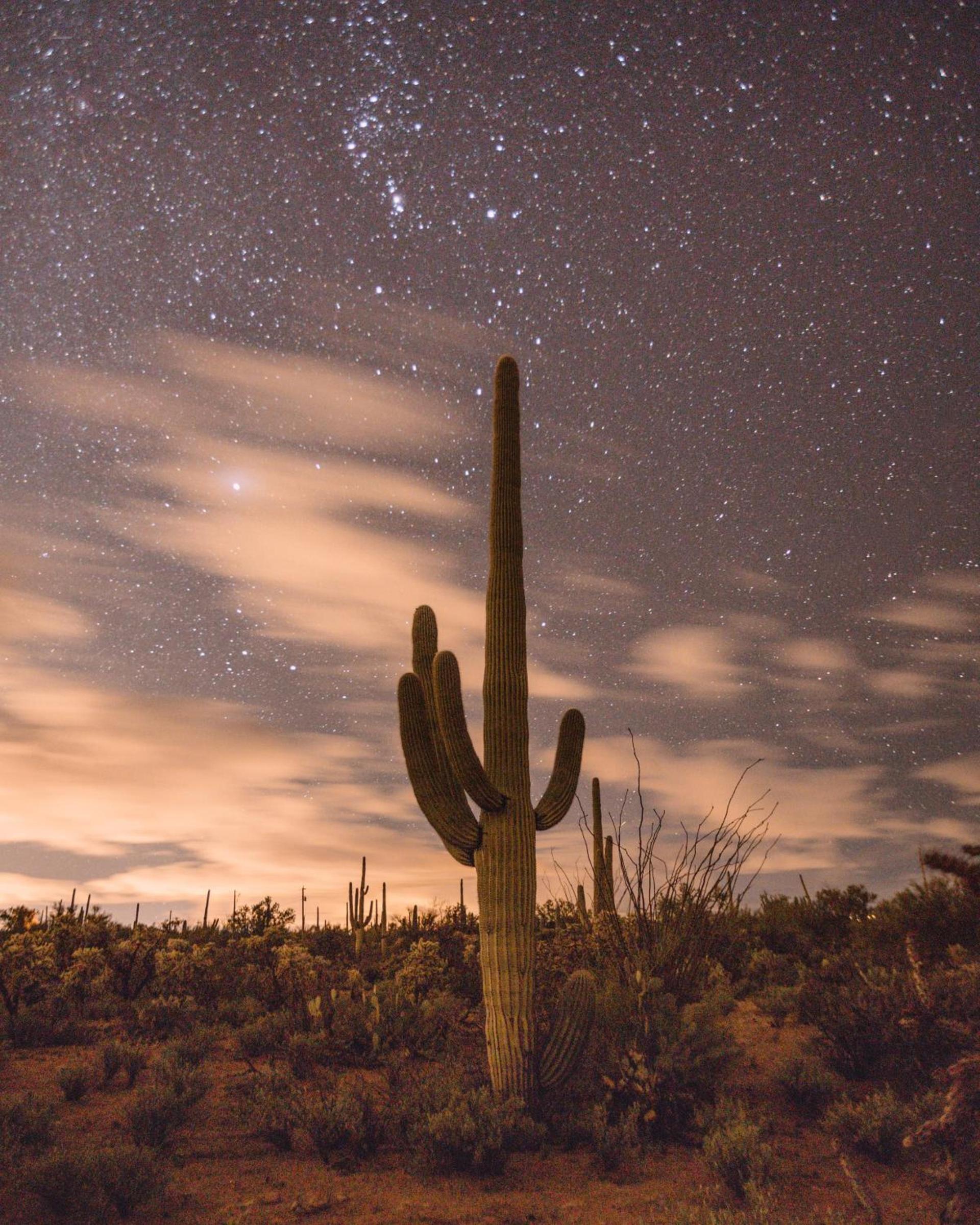 The JTH Tucson photo 16