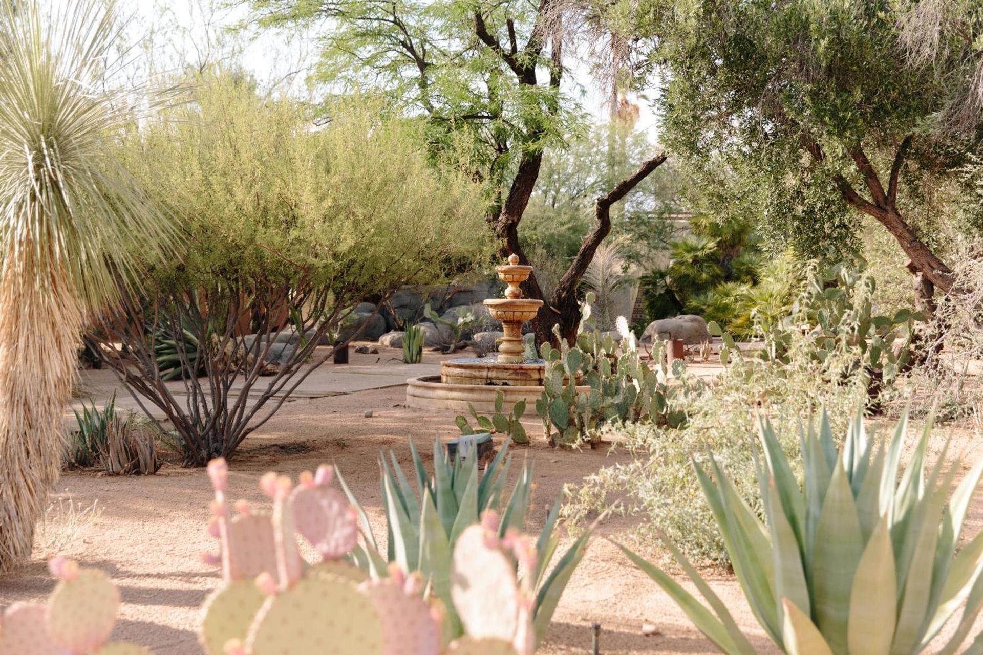 The JTH Tucson photo 26