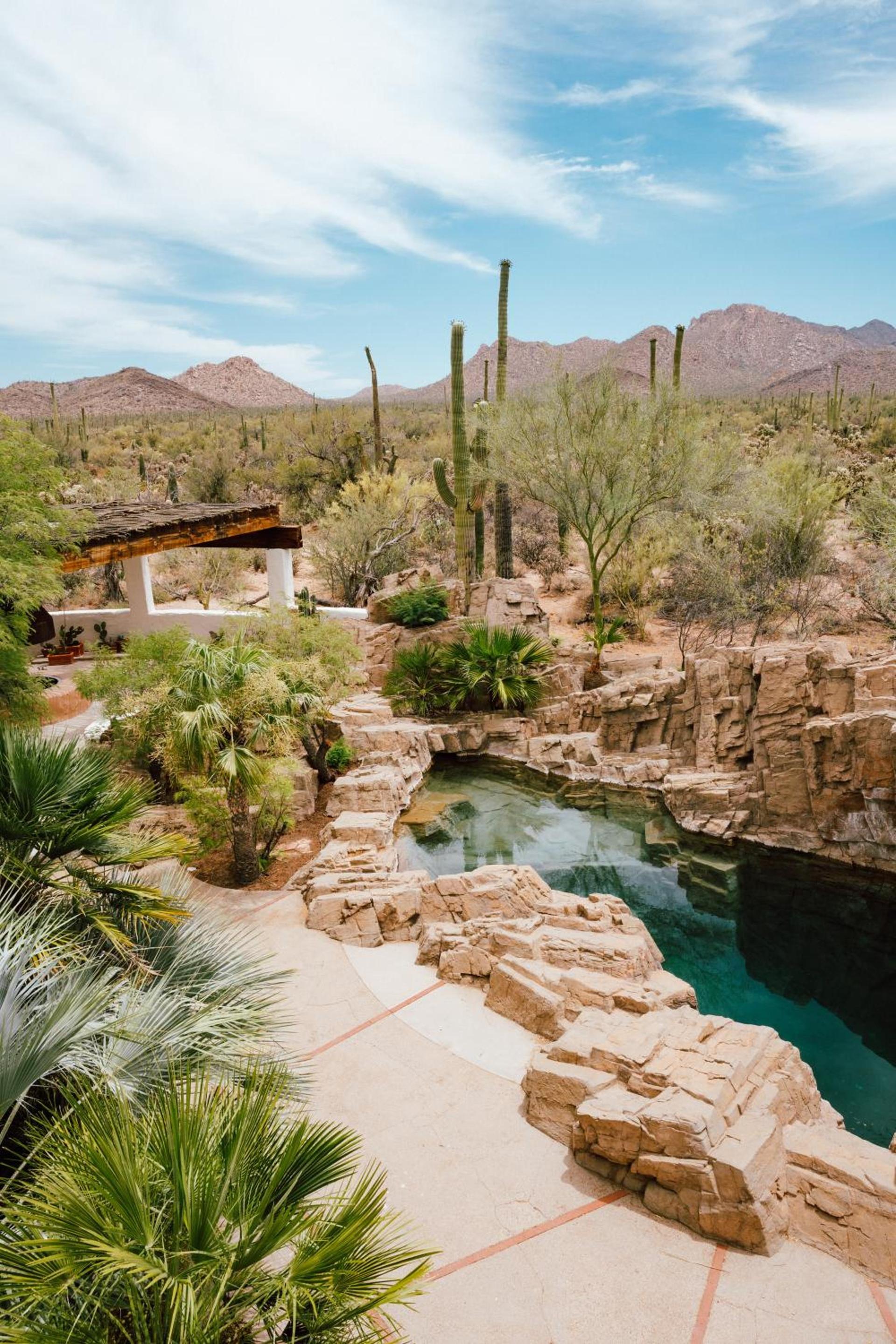 The JTH Tucson photo 3