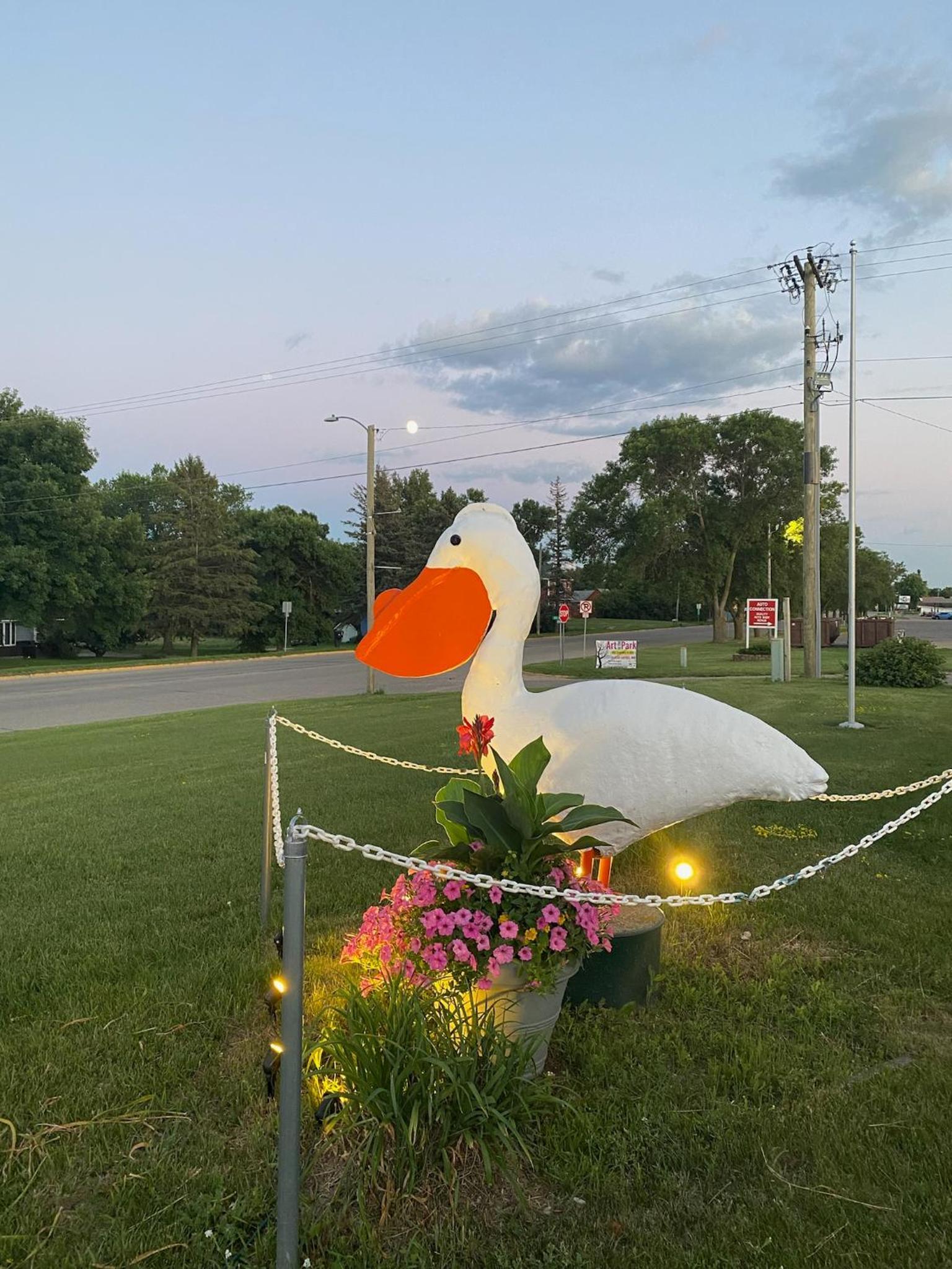 Pelican Motel photo 19