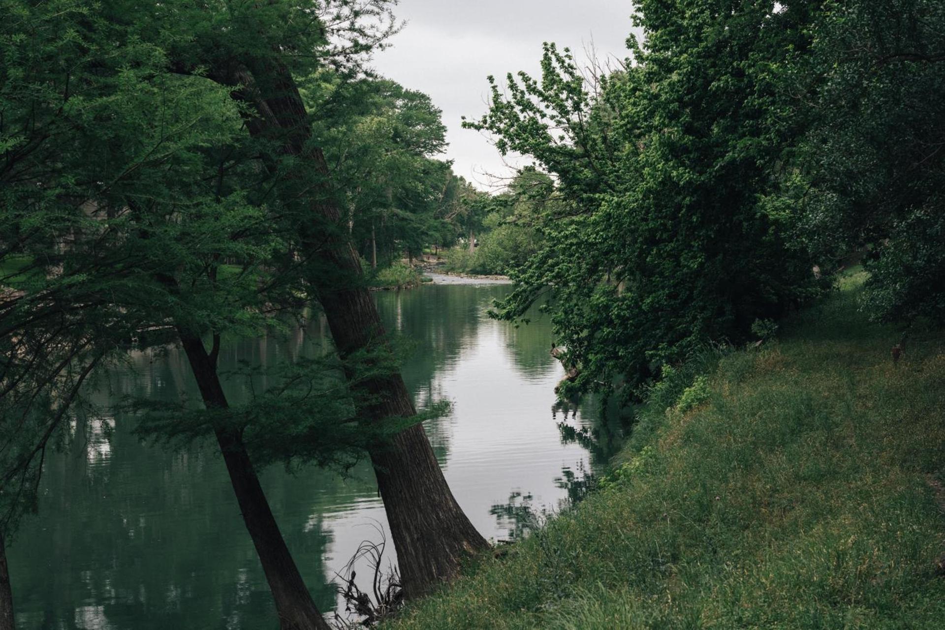 Gruene River Inn photo 14