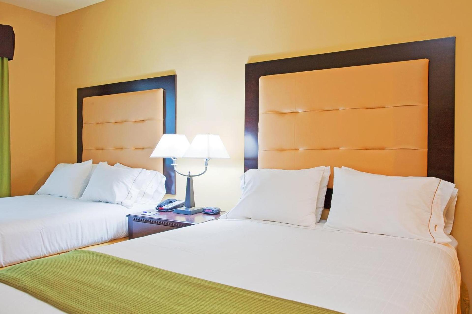 Holiday Inn Express Hotel & Suites Foley by IHG photo 22