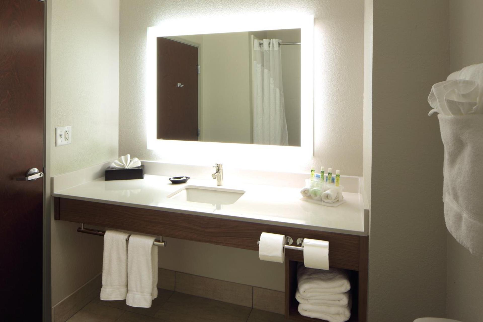 Holiday Inn Express Hotel & Suites Atlanta Airport West - Camp Creek by IHG photo 44