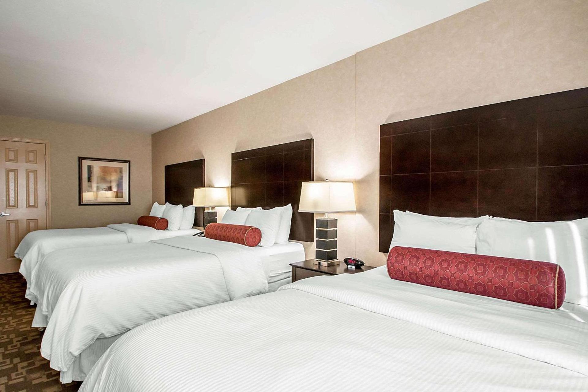 Clarion Inn Elmhurst - Oak Brook near I-88, I-290, I-294 photo 16