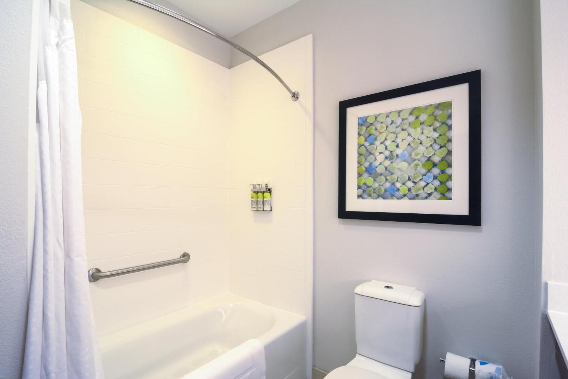 Holiday Inn Express Hotel & Suites Tampa-USF-Busch Gardens by IHG photo 30
