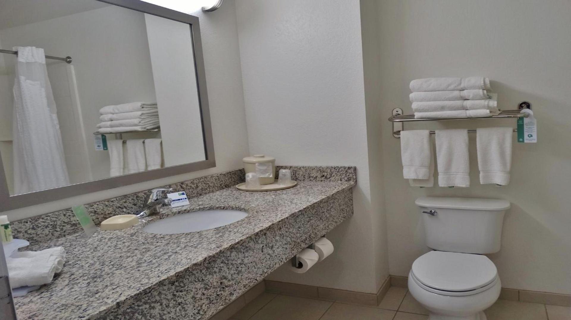 Holiday Inn Express and Suites Montgomery by IHG photo 27