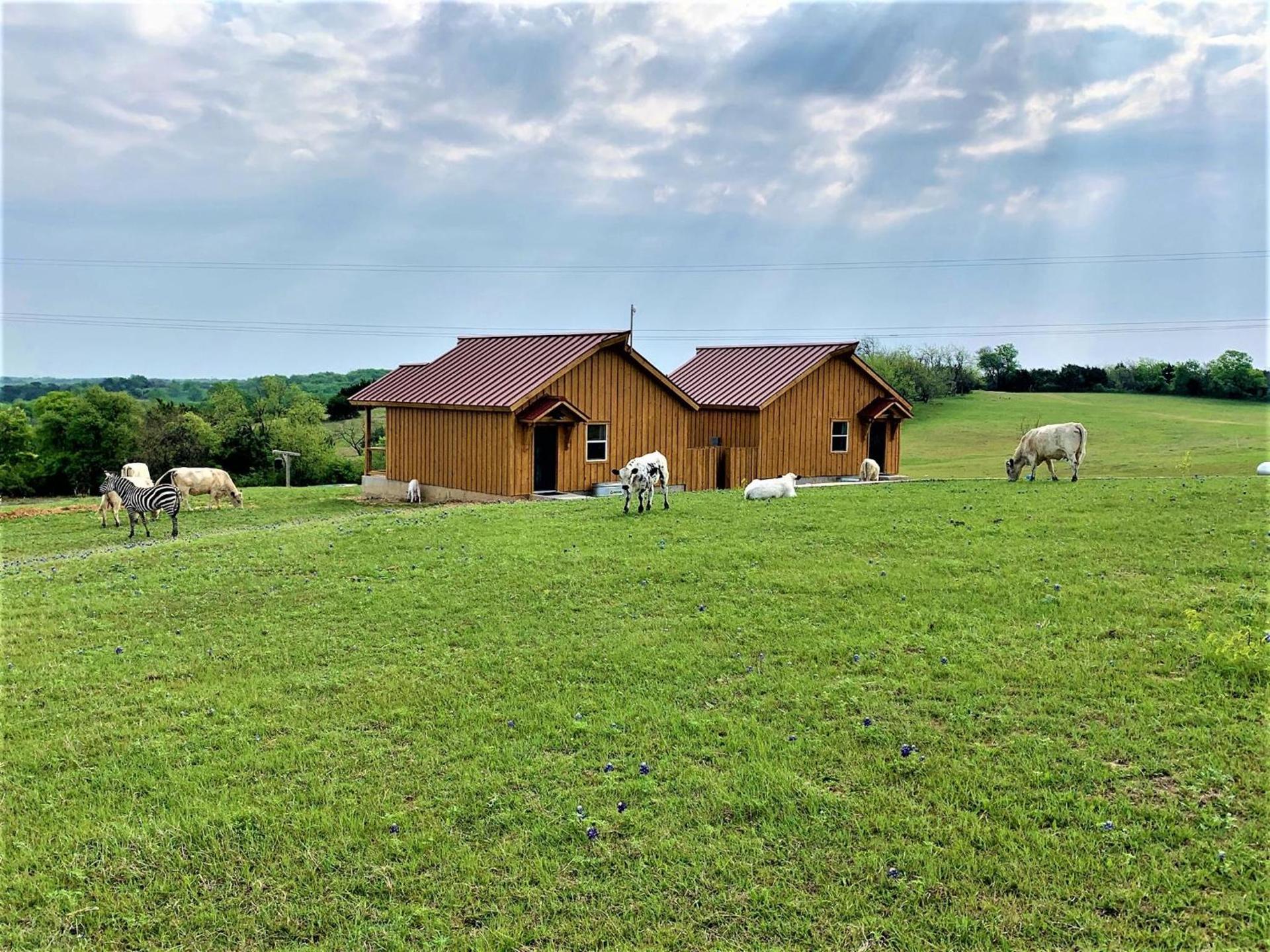 Blue Hills Ranch photo 26