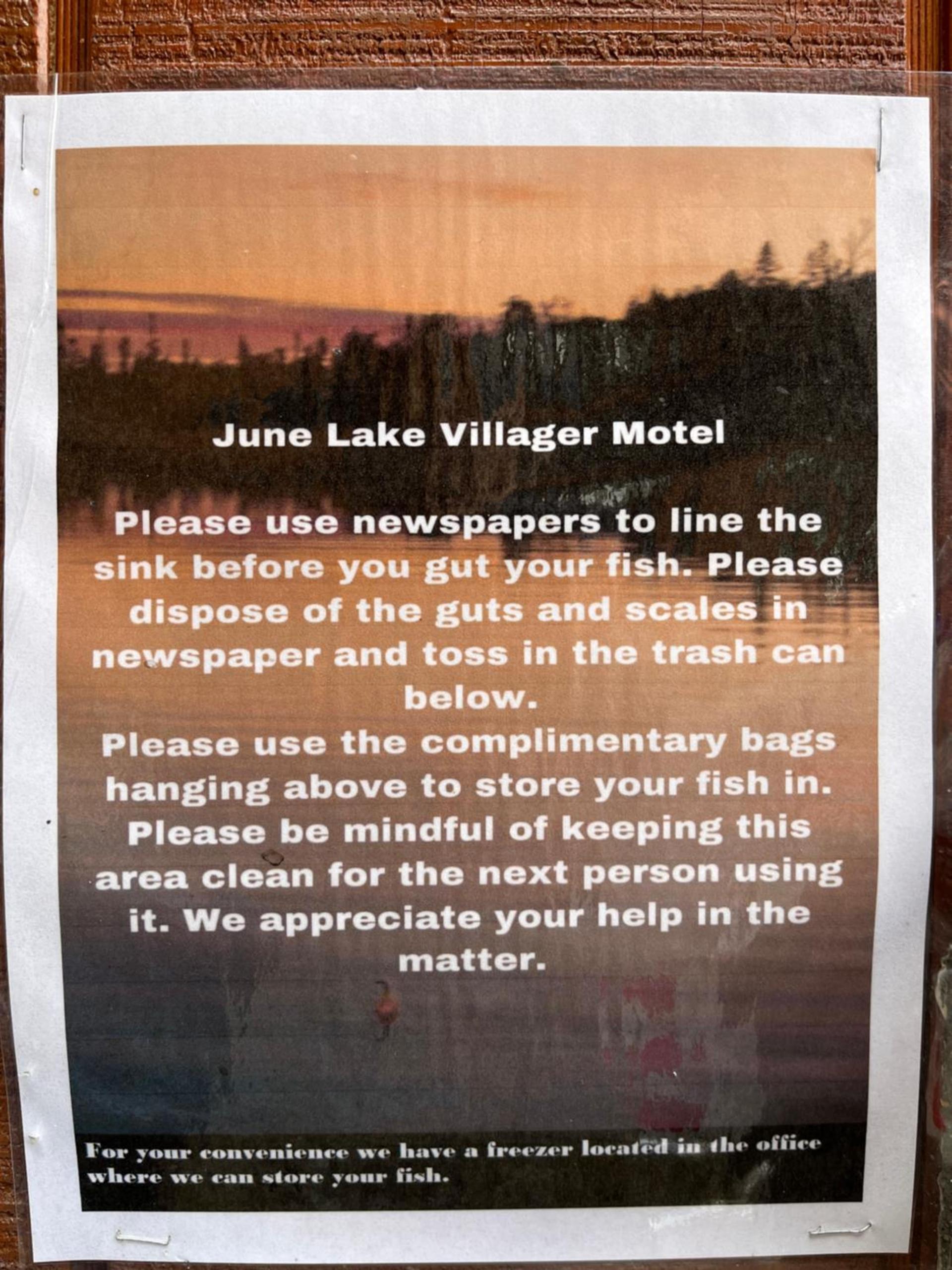 June Lake Villager photo 32