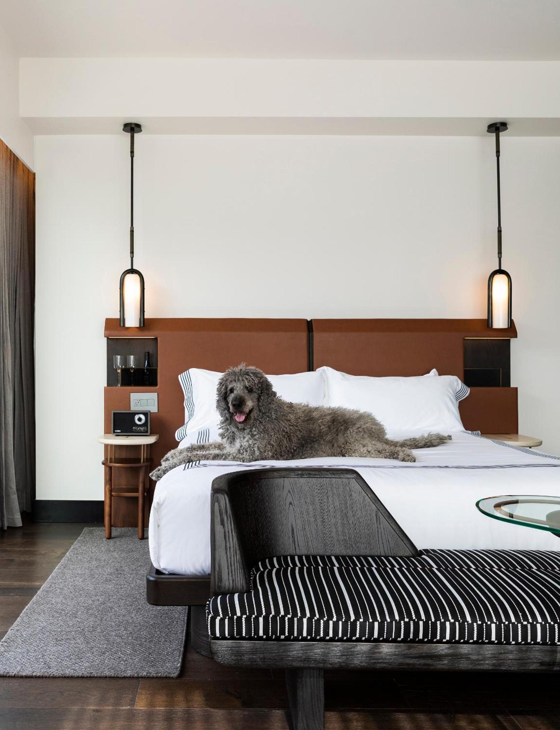 Thompson Denver, by Hyatt photo 80