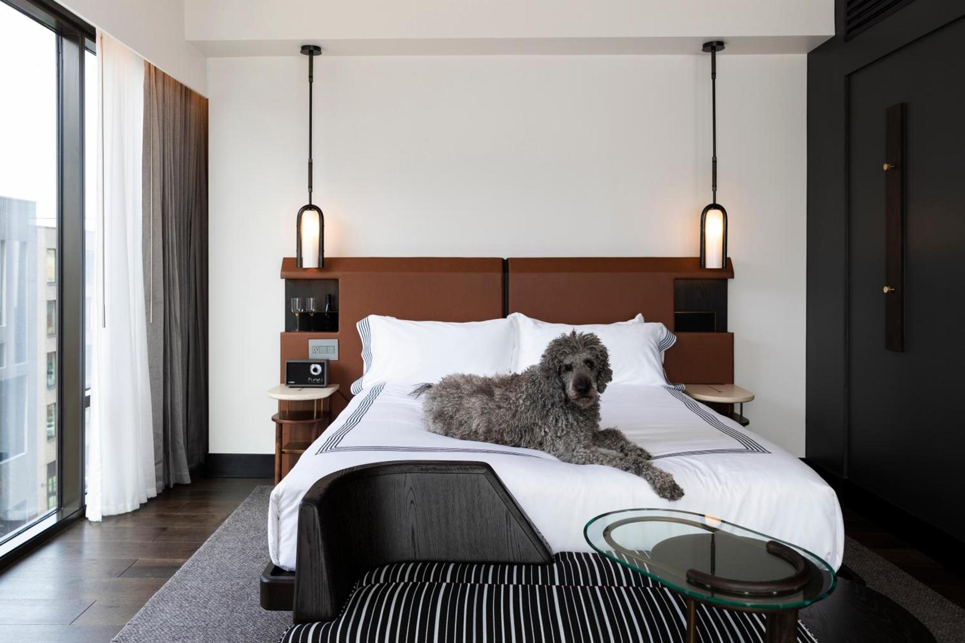 Thompson Denver, by Hyatt photo 83