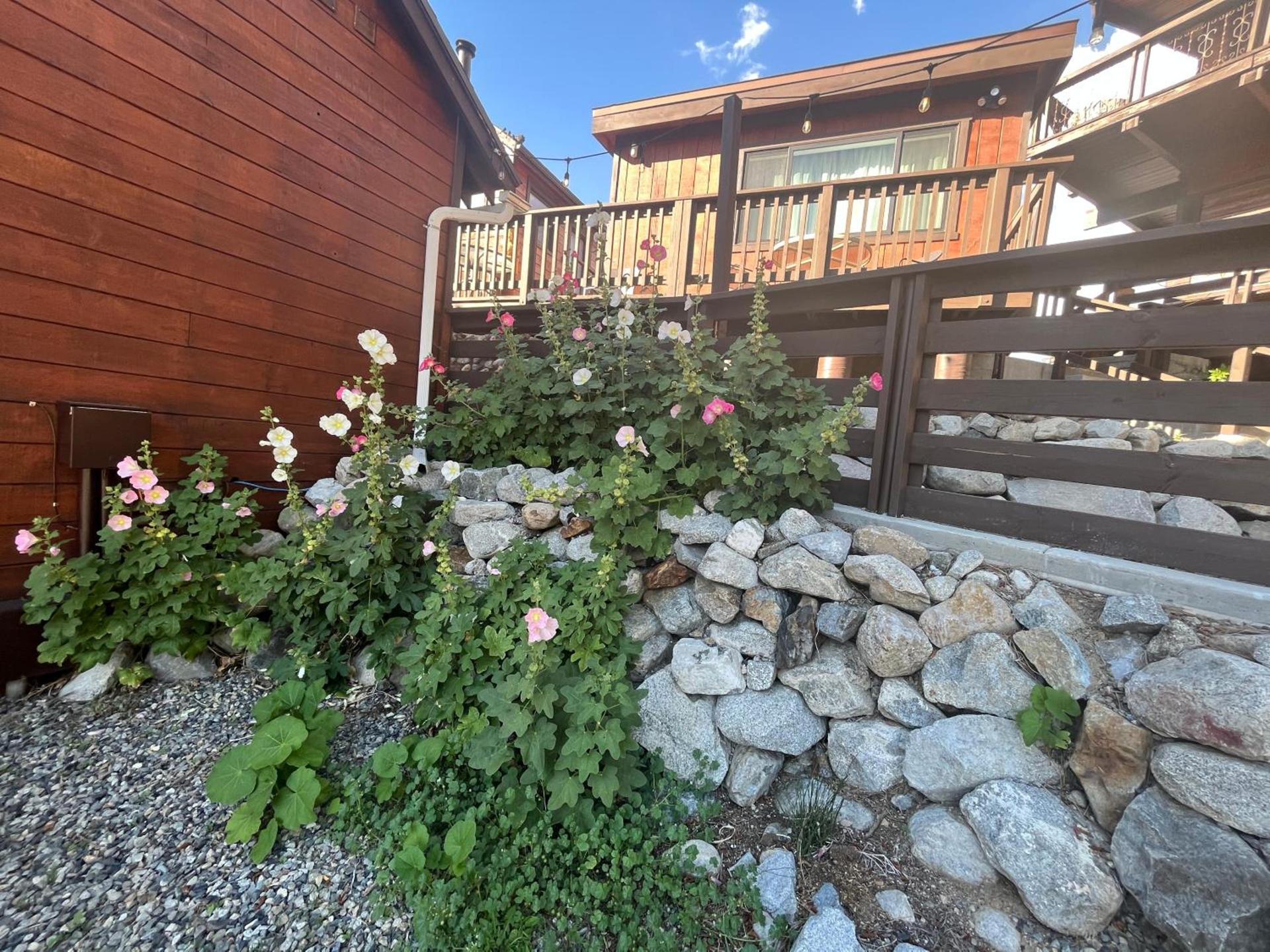 June Lake Villager photo 36