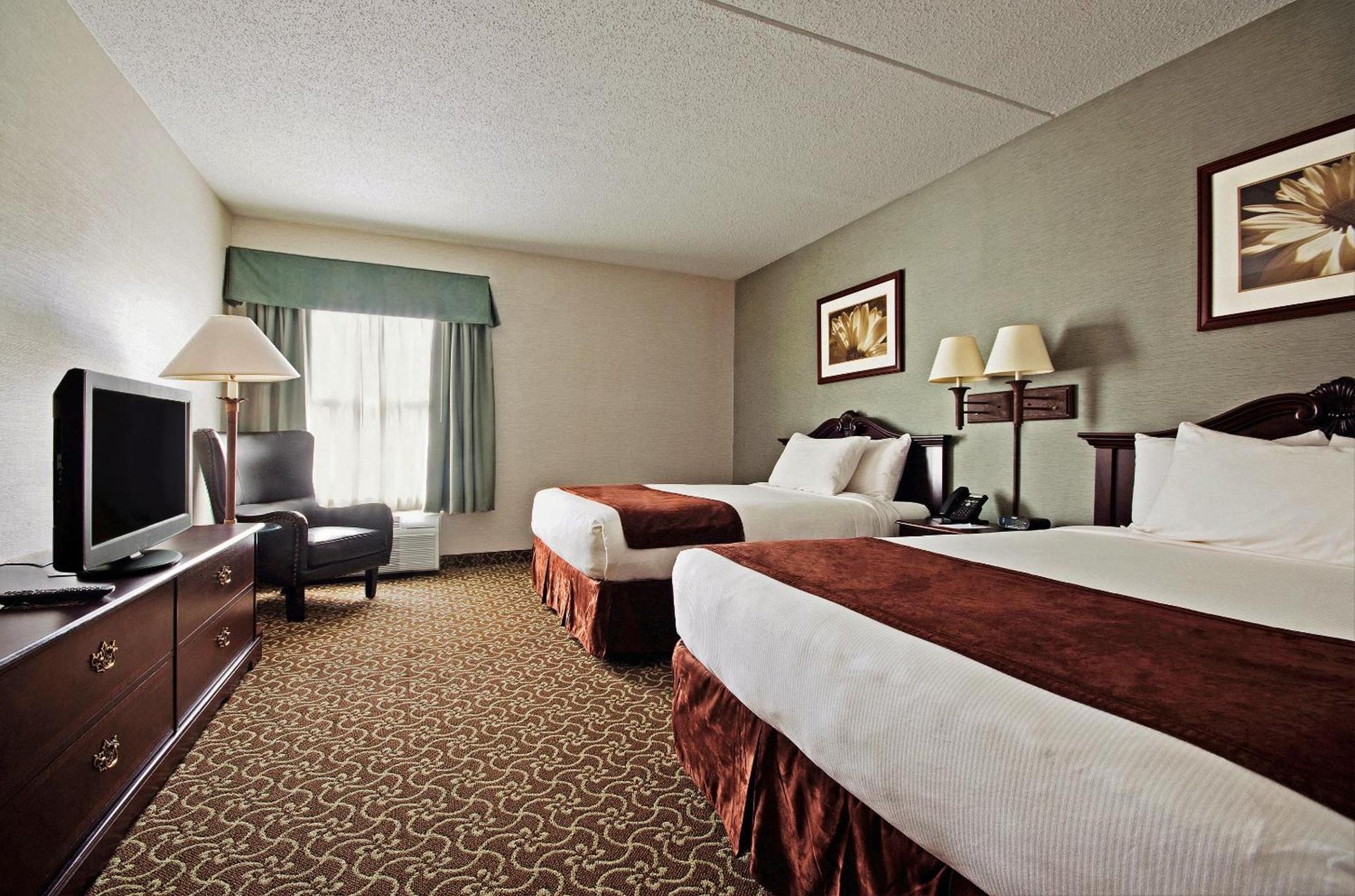 D. Hotel Suites & Spa photo 11