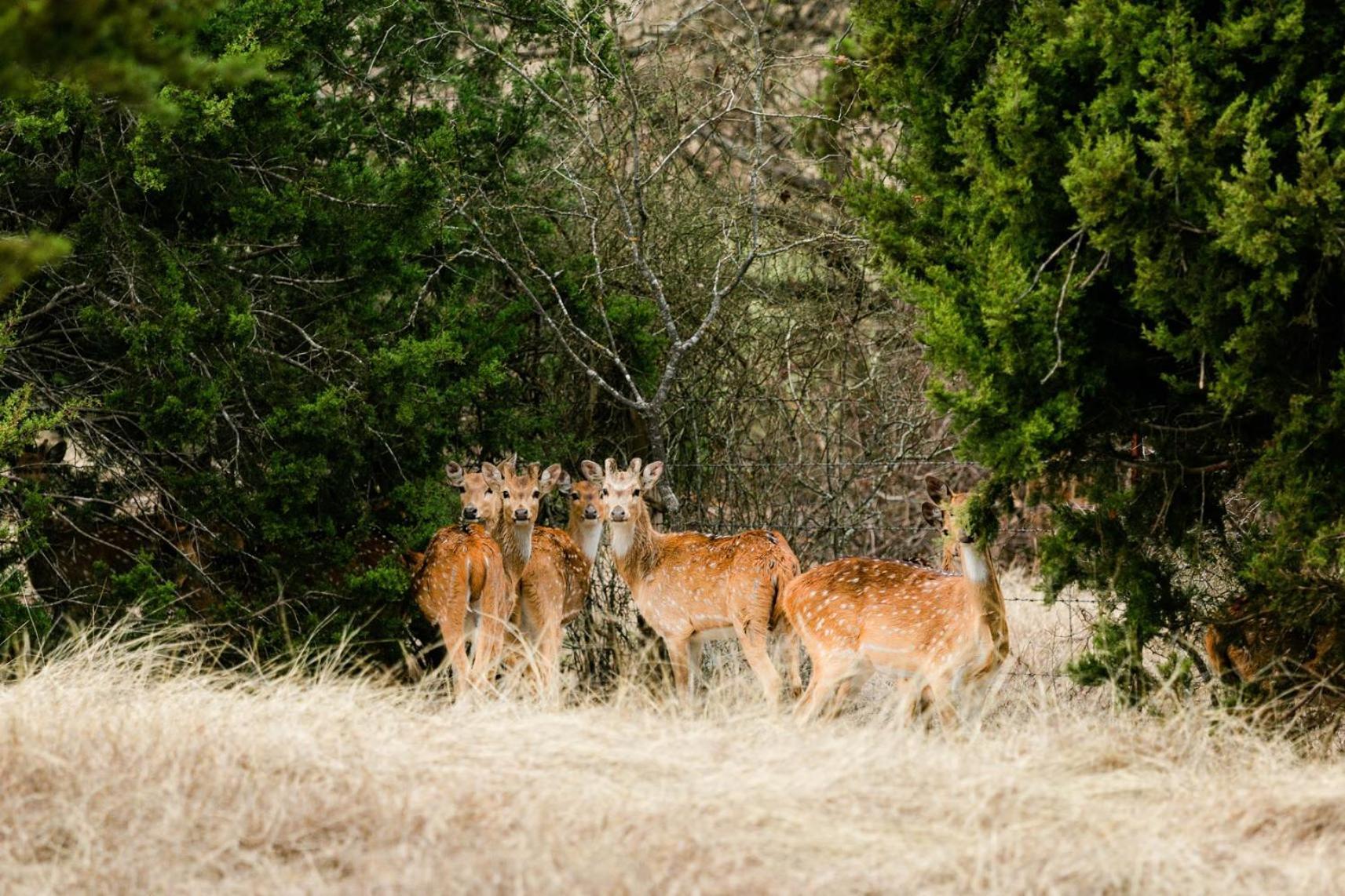 Blue Hills Ranch photo 64