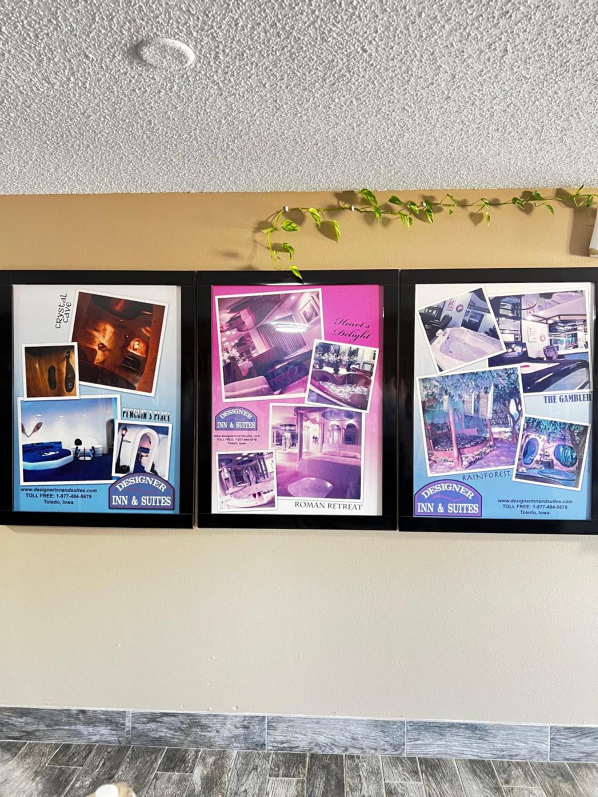 Designer Inn and Suites photo 3