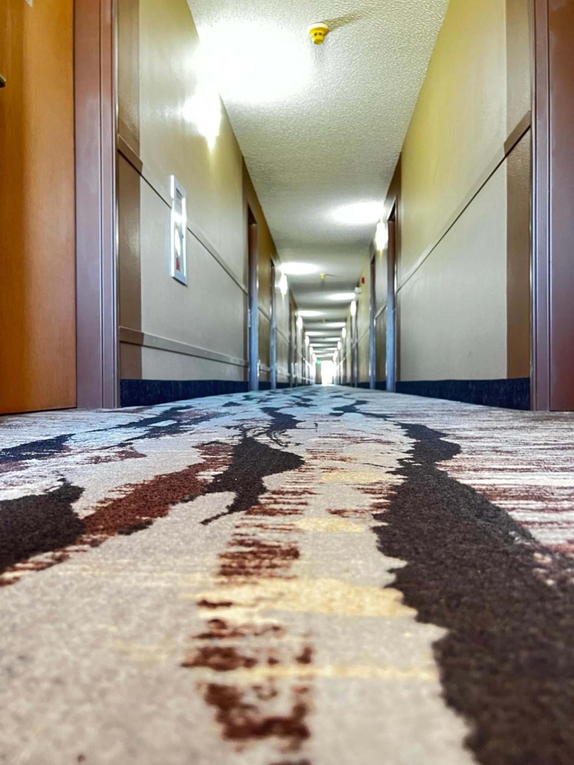 Designer Inn and Suites photo 20