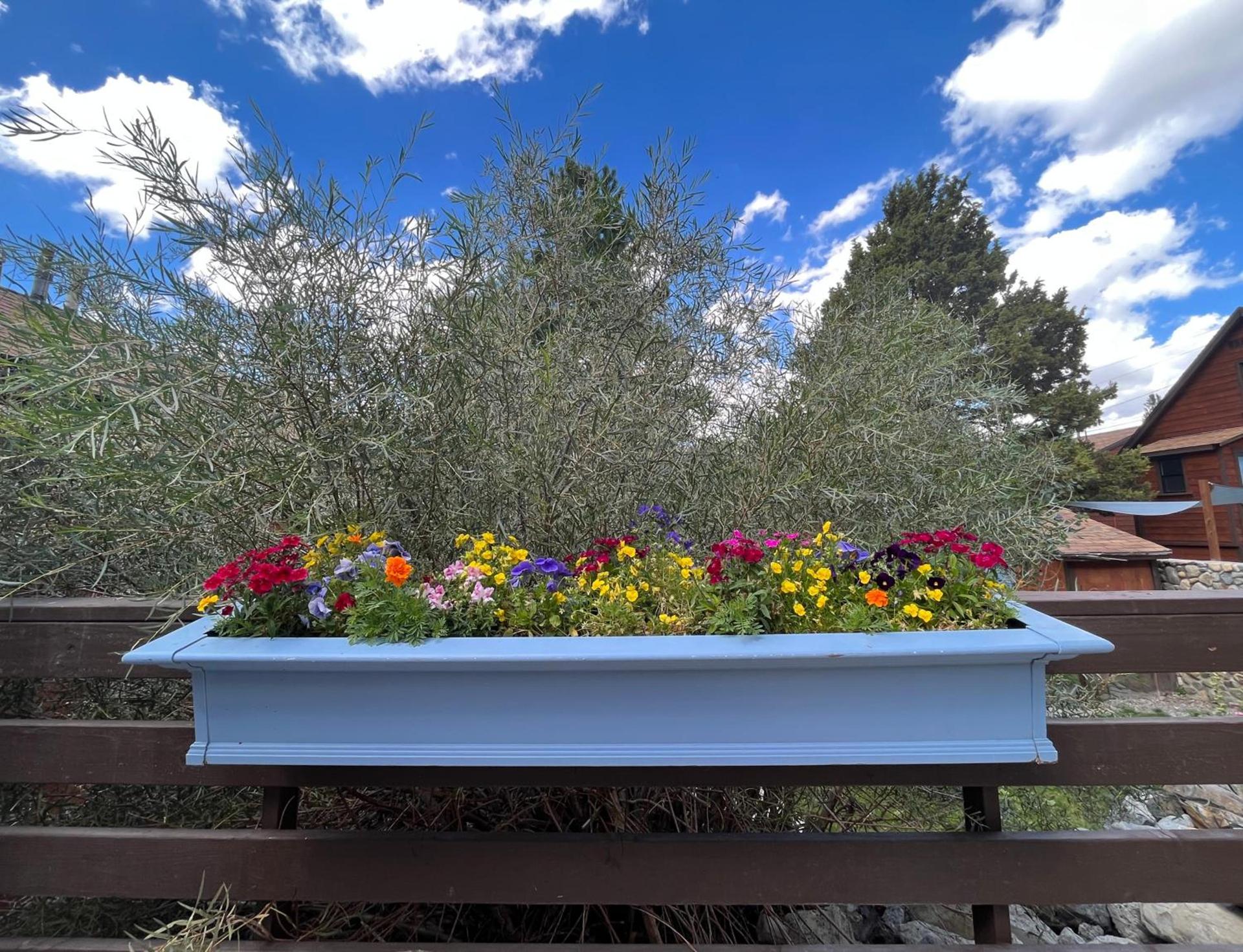 June Lake Villager photo 48