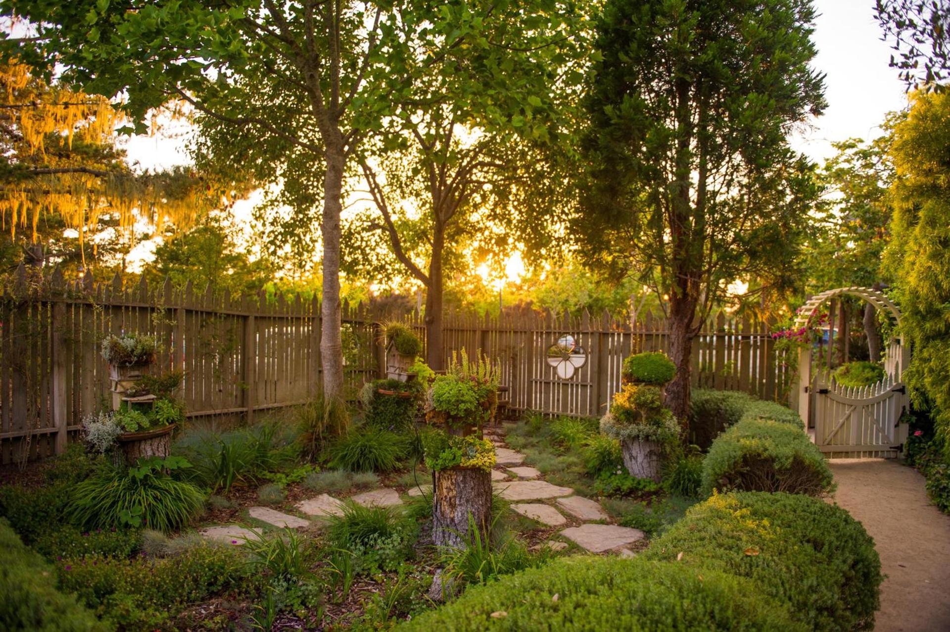 Cambria Pines Lodge photo 33