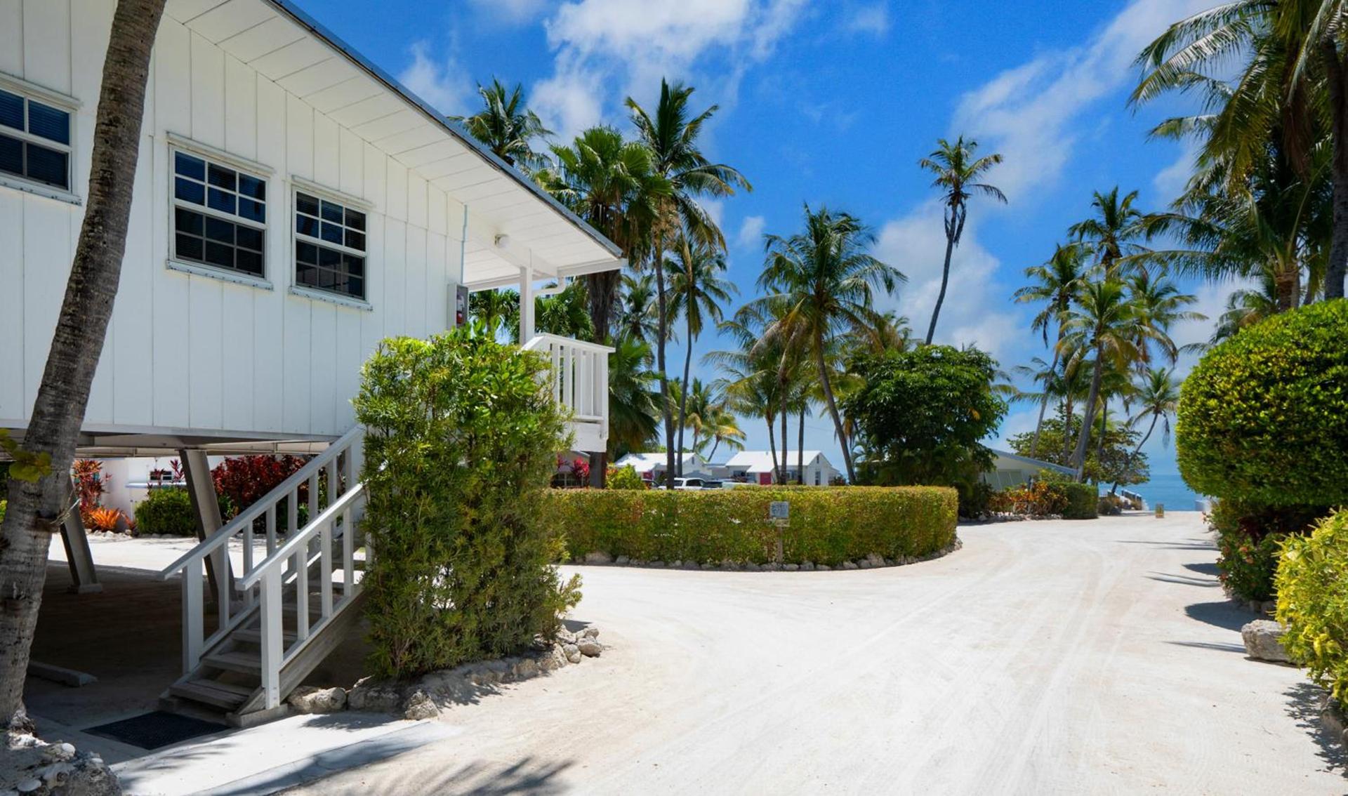 Pines & Palms Resort photo 99