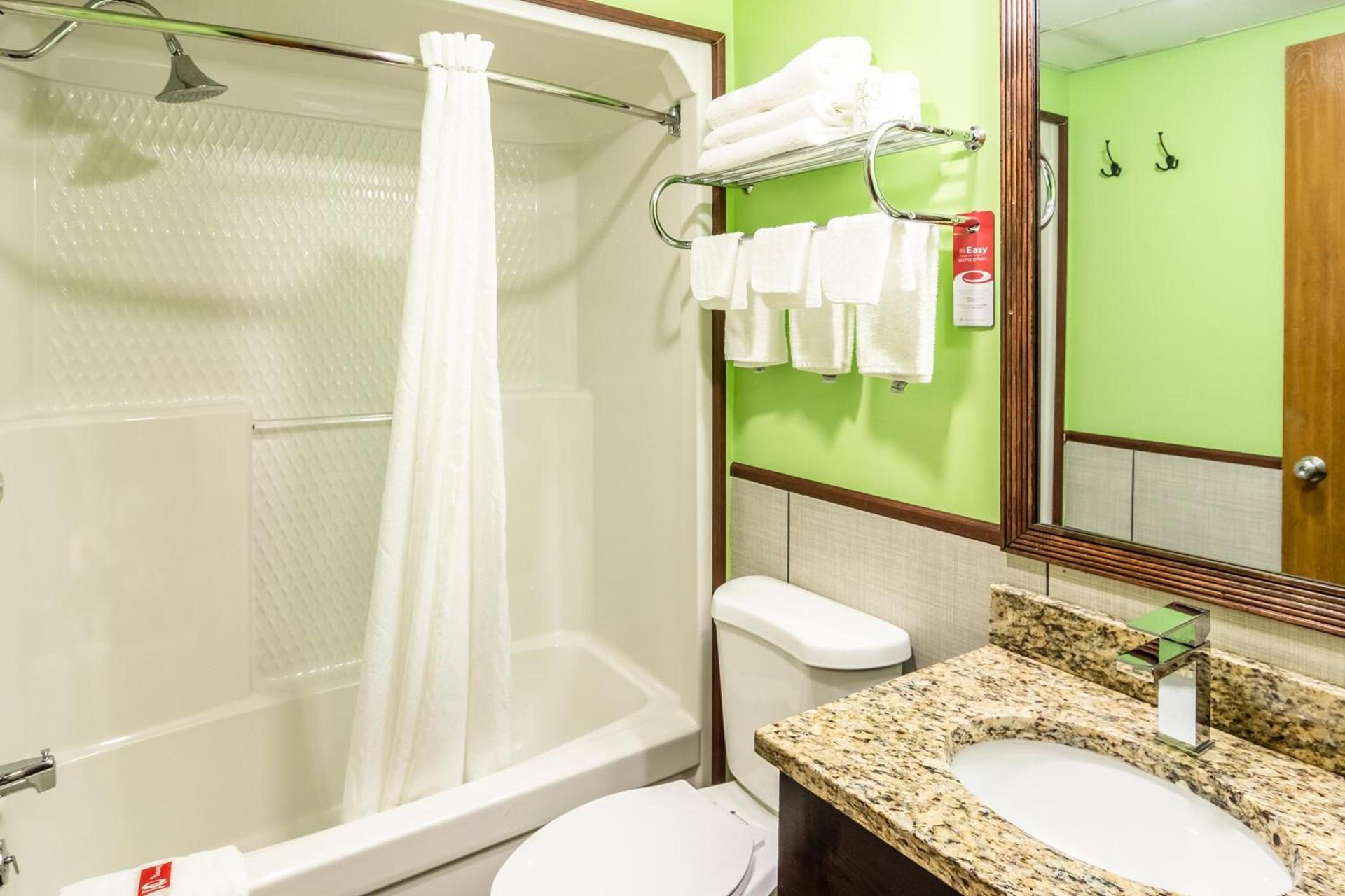Econo Lodge Cadillac by Choice photo 43